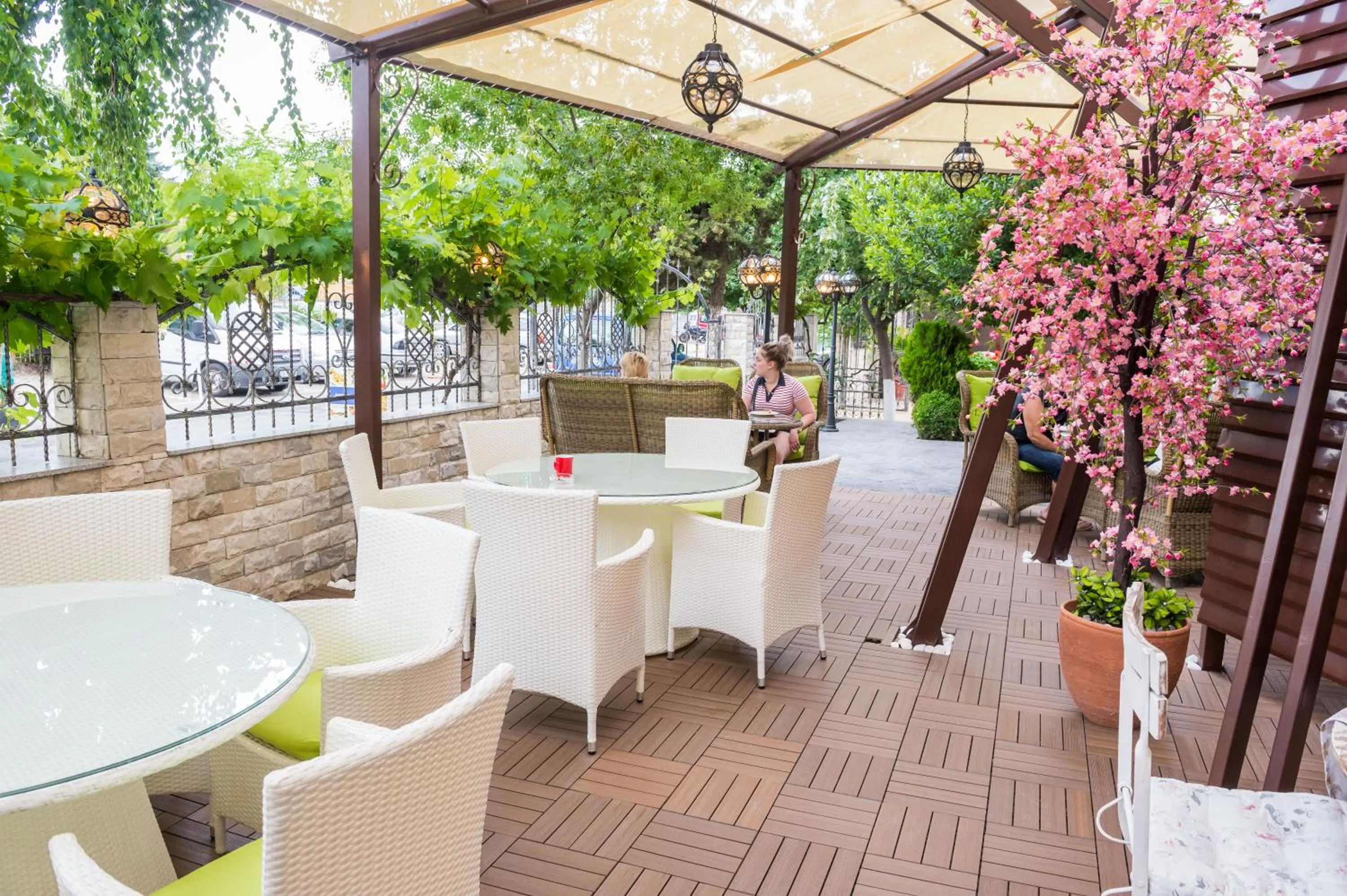 Garden in Hotel Central