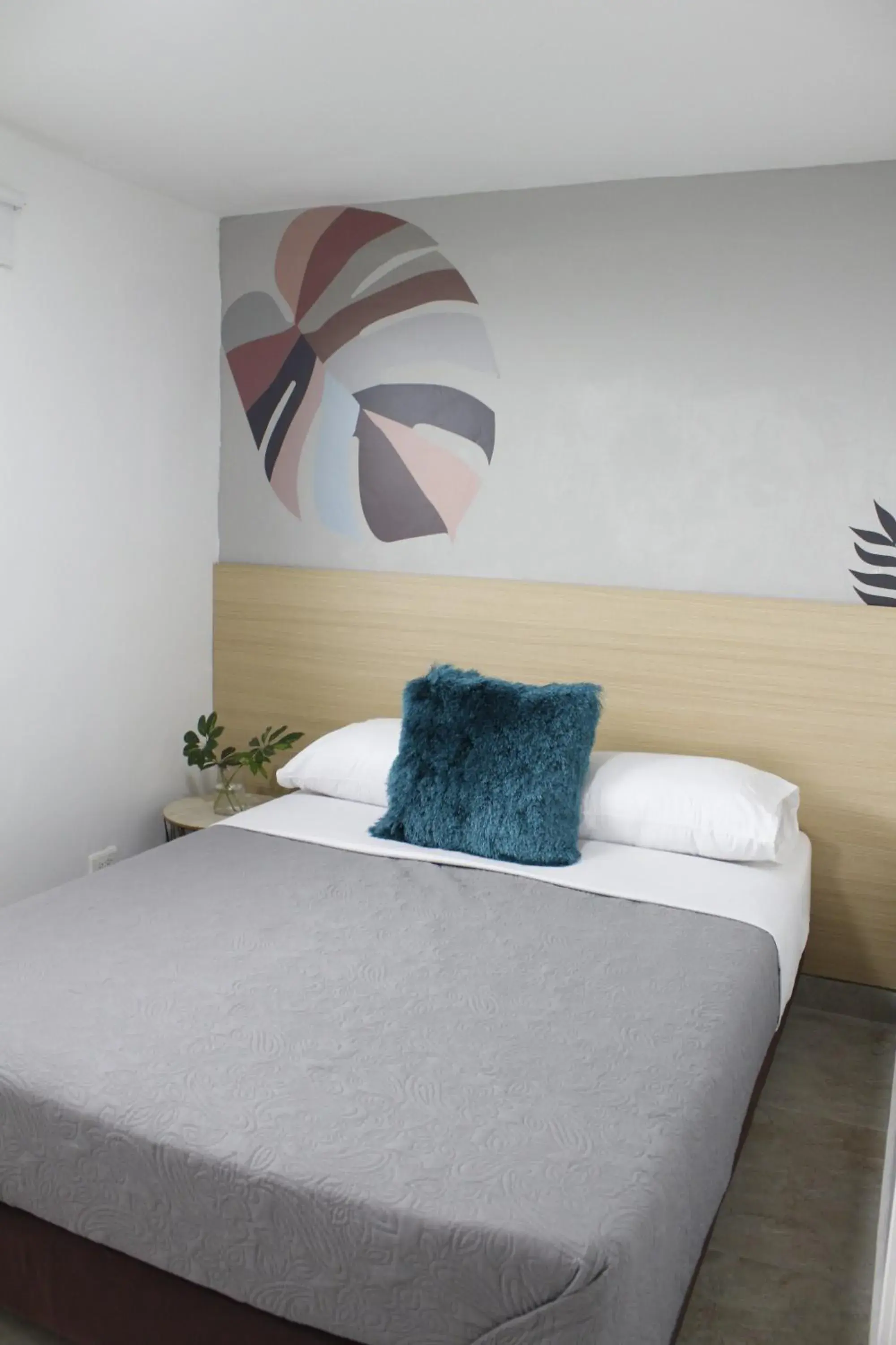 Budget Double Room in Primavera Hotel Budget Double Room in Primavera Hotel