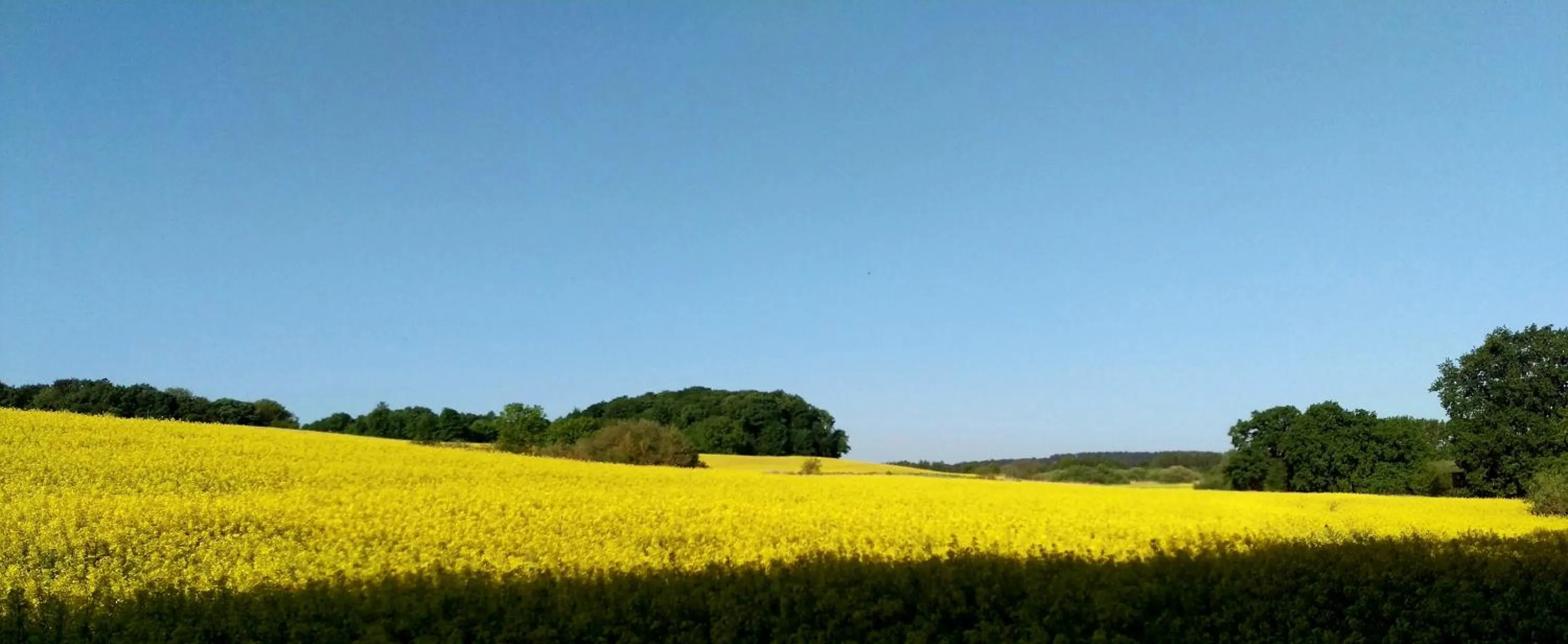 Natural landscape in Nordischer Hof