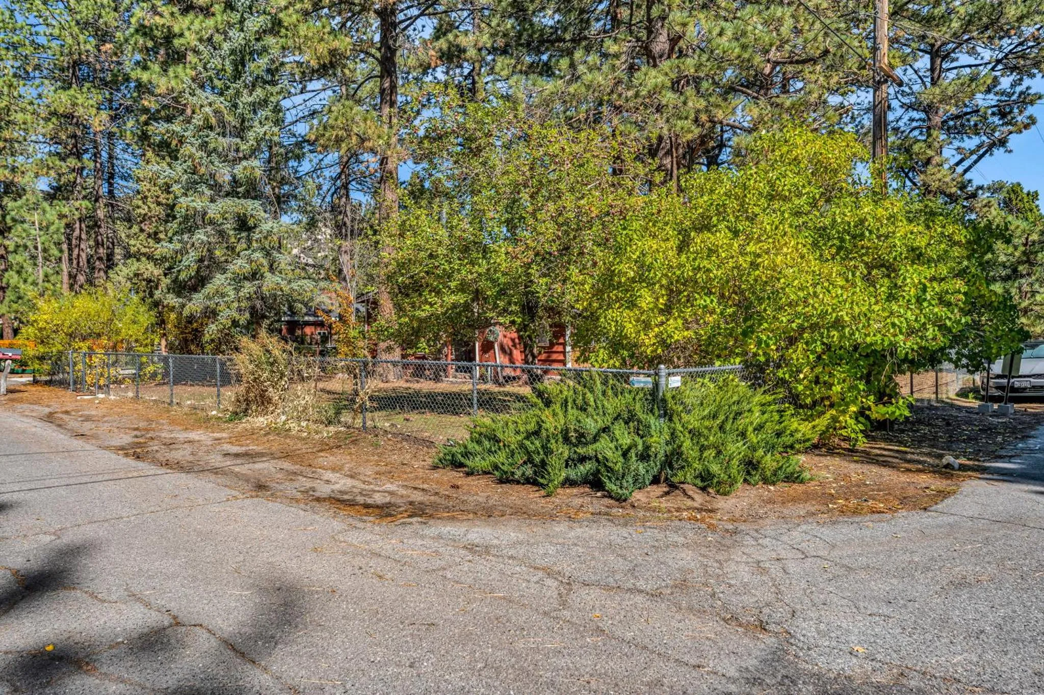 Green Cabin in Big Bear Lake 3 bdr Pets Friendly