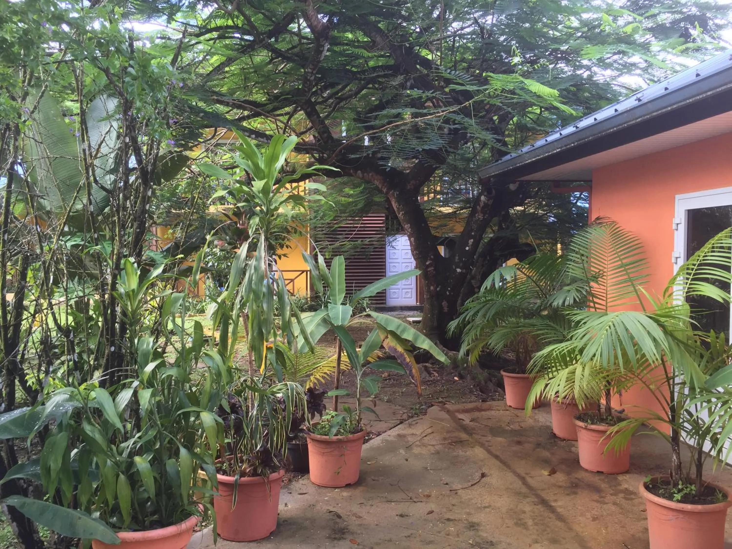 Garden in Hotel L'ebene Verte