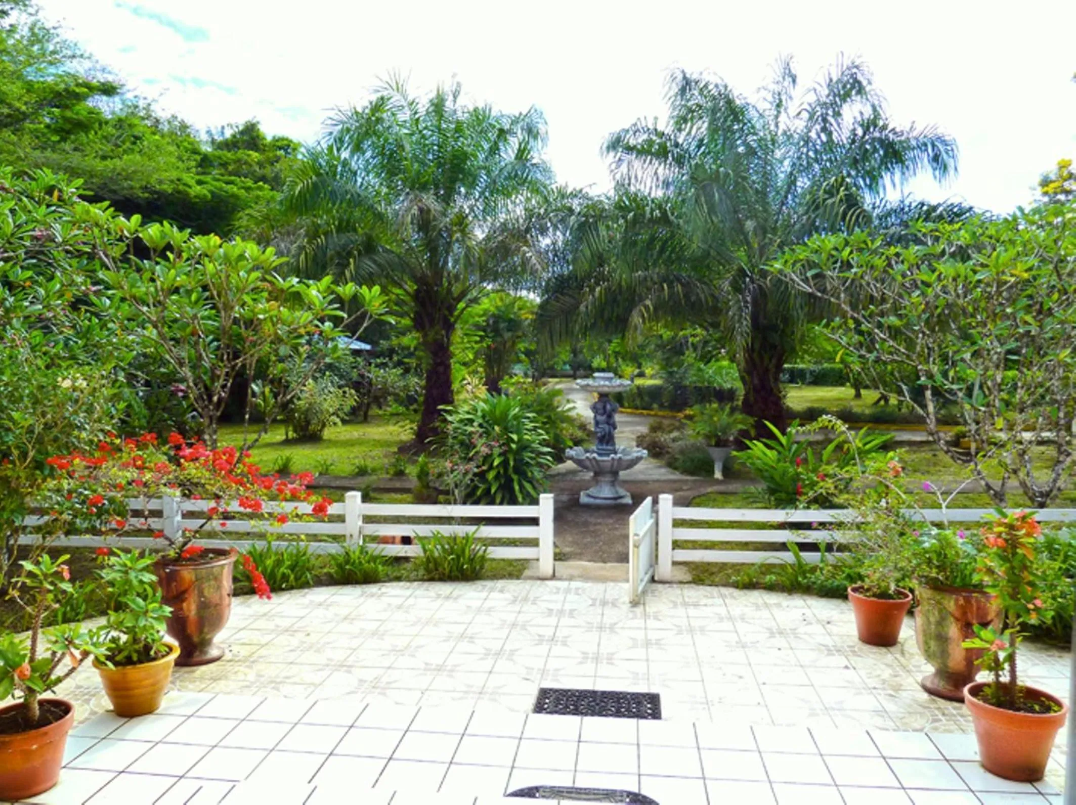 Balcony/Terrace in Hotel L'ebene Verte