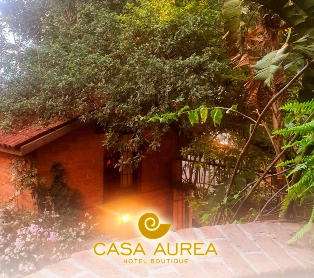 Garden in Casa Aurea Hotel Boutique