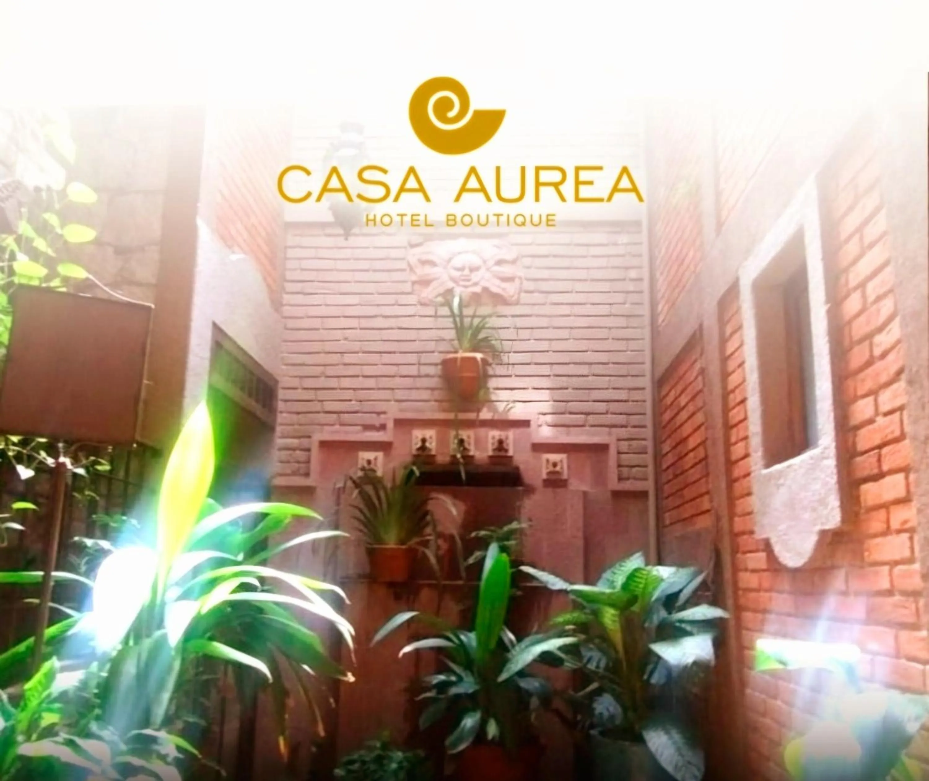Garden in Casa Aurea Hotel Boutique