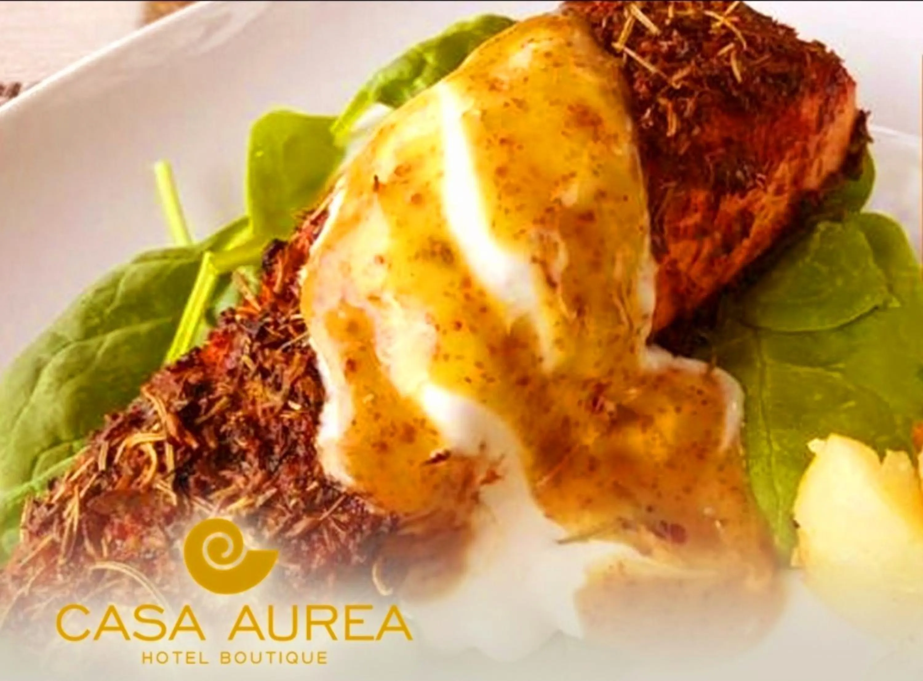 Restaurant/places to eat in Casa Aurea Hotel Boutique