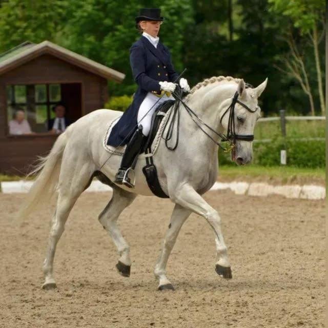 Horse-riding in Hotel Gut Moschenhof