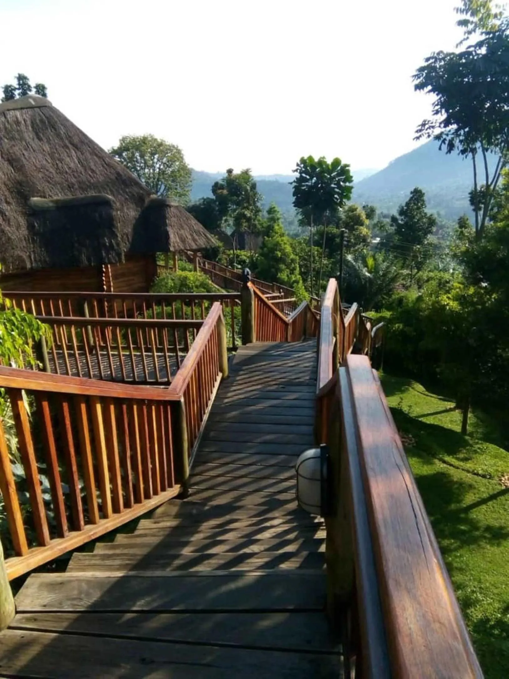 Day in Trackers Safari Lodge Bwindi