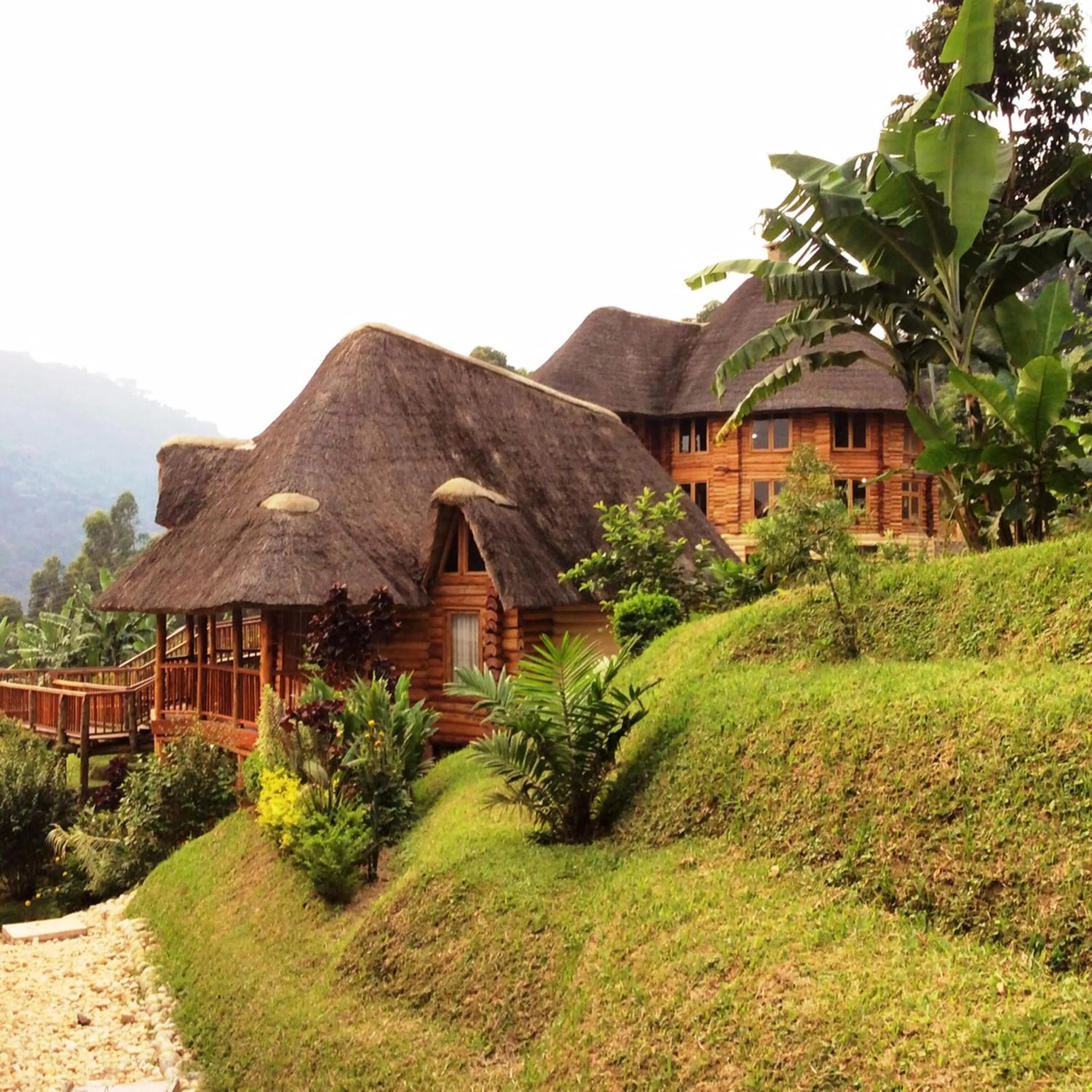 Property building in Trackers Safari Lodge Bwindi