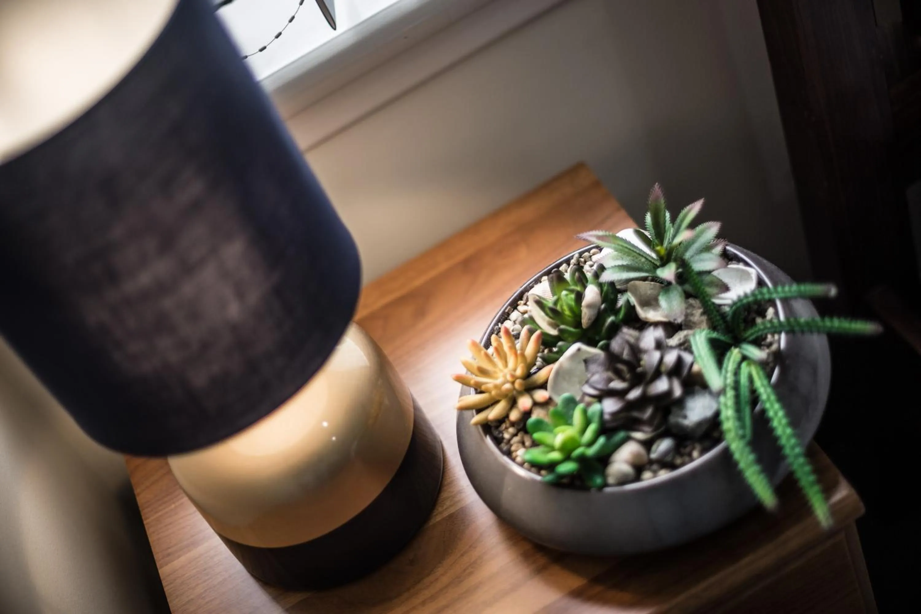 Decorative detail in Choice Backpackers