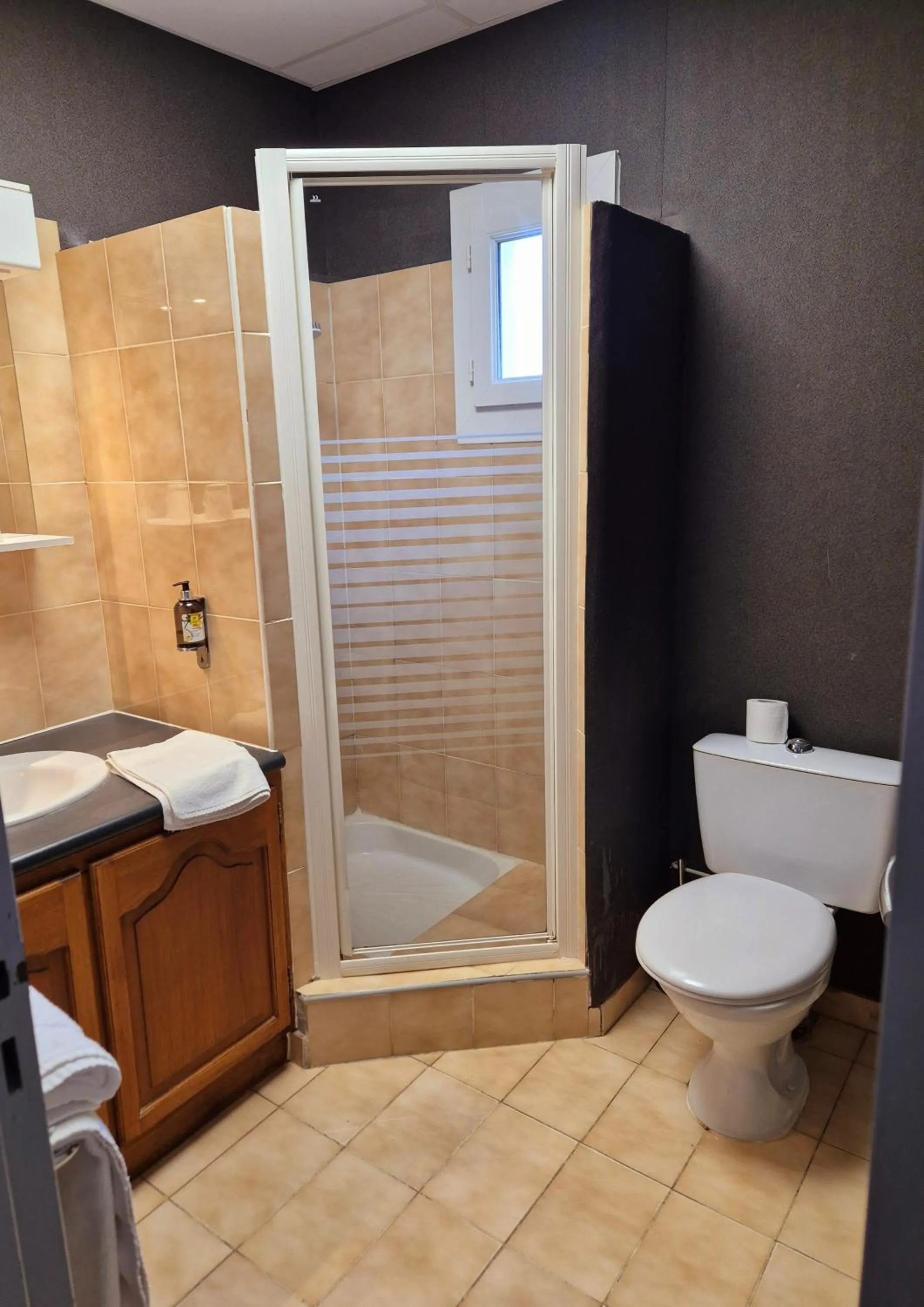 Shower in Logis Hôtel Le Mistral - Restaurant - Montélimar Sud