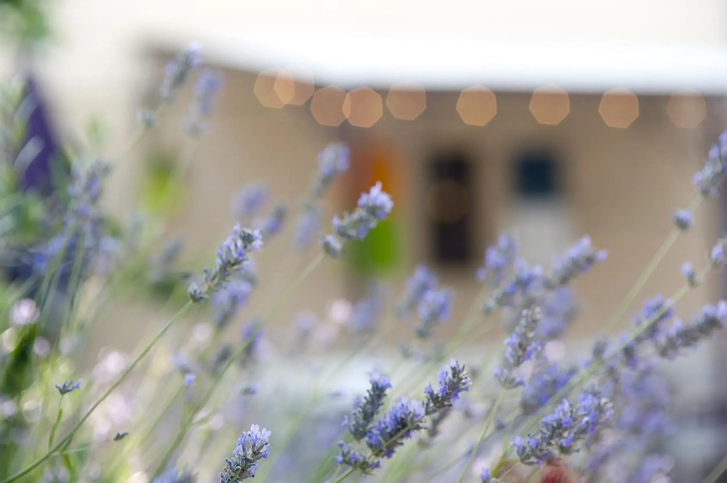 Other in Logis Hôtel Le Mistral - Restaurant - Montélimar Sud Other in Logis Hôtel Le Mistral - Restaurant - Montélimar Sud