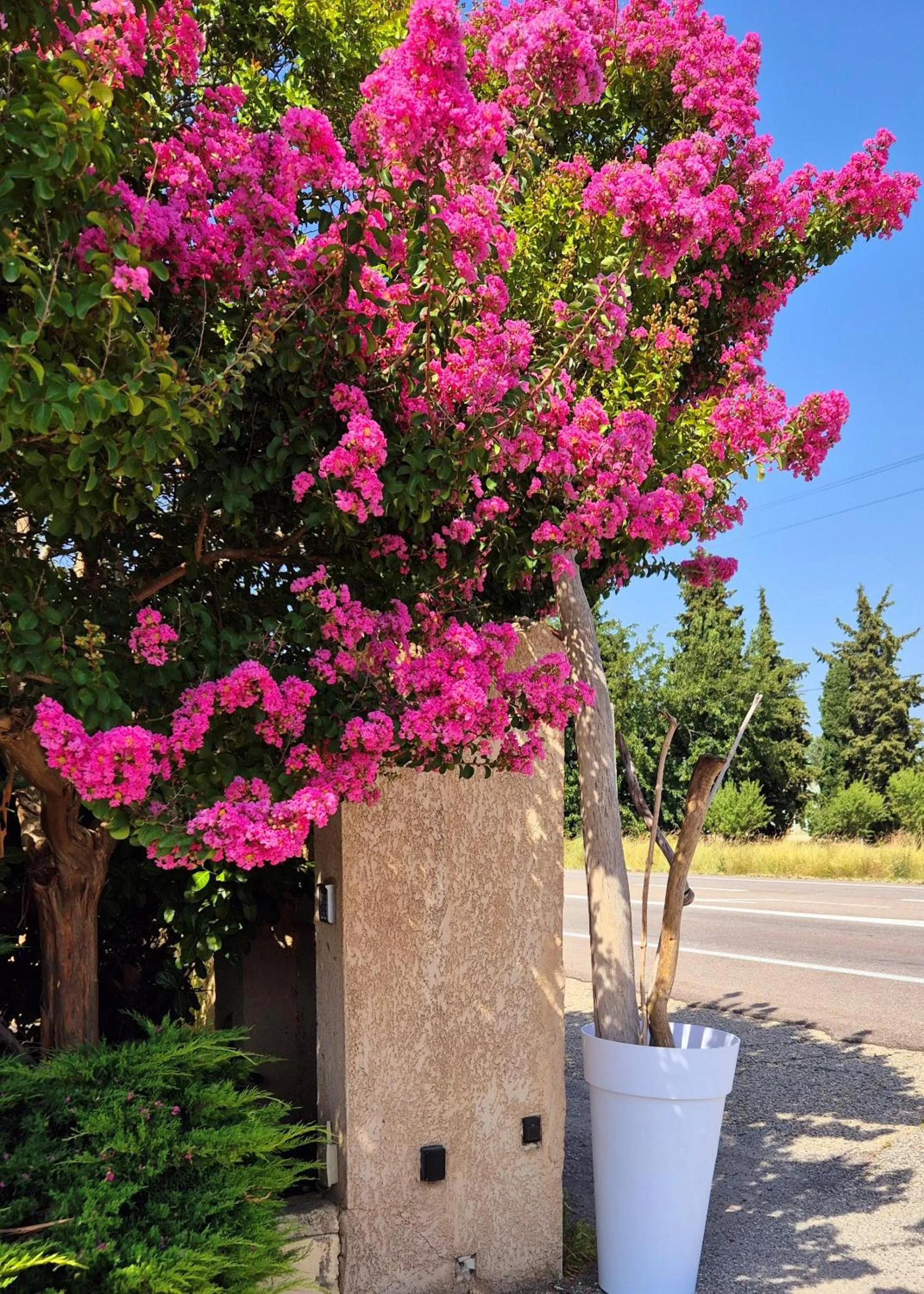 Facade/entrance in Logis Hôtel Le Mistral - Restaurant - Montélimar Sud