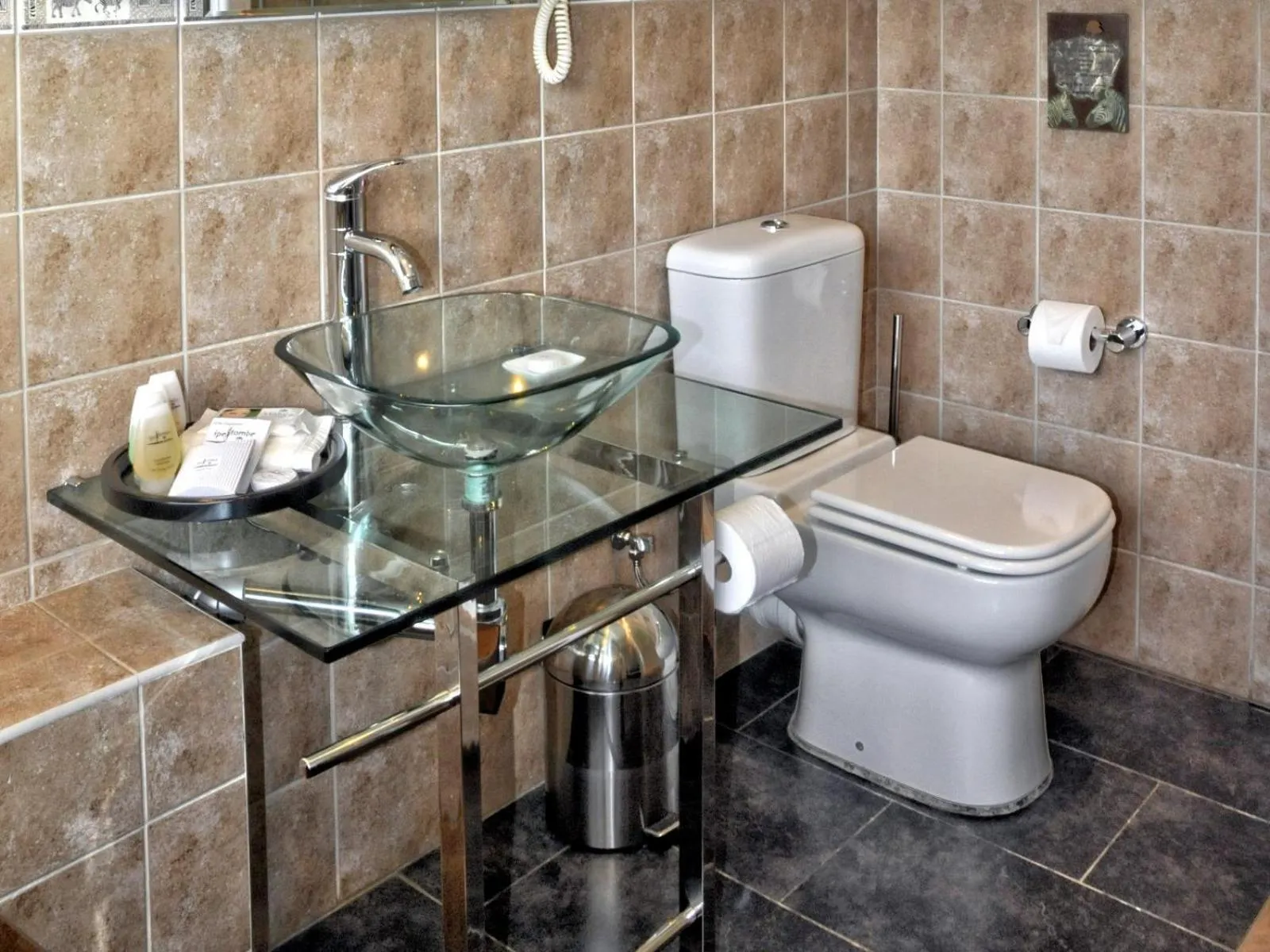 Toilet in Ipe Tombe Guest Lodge - Midrand