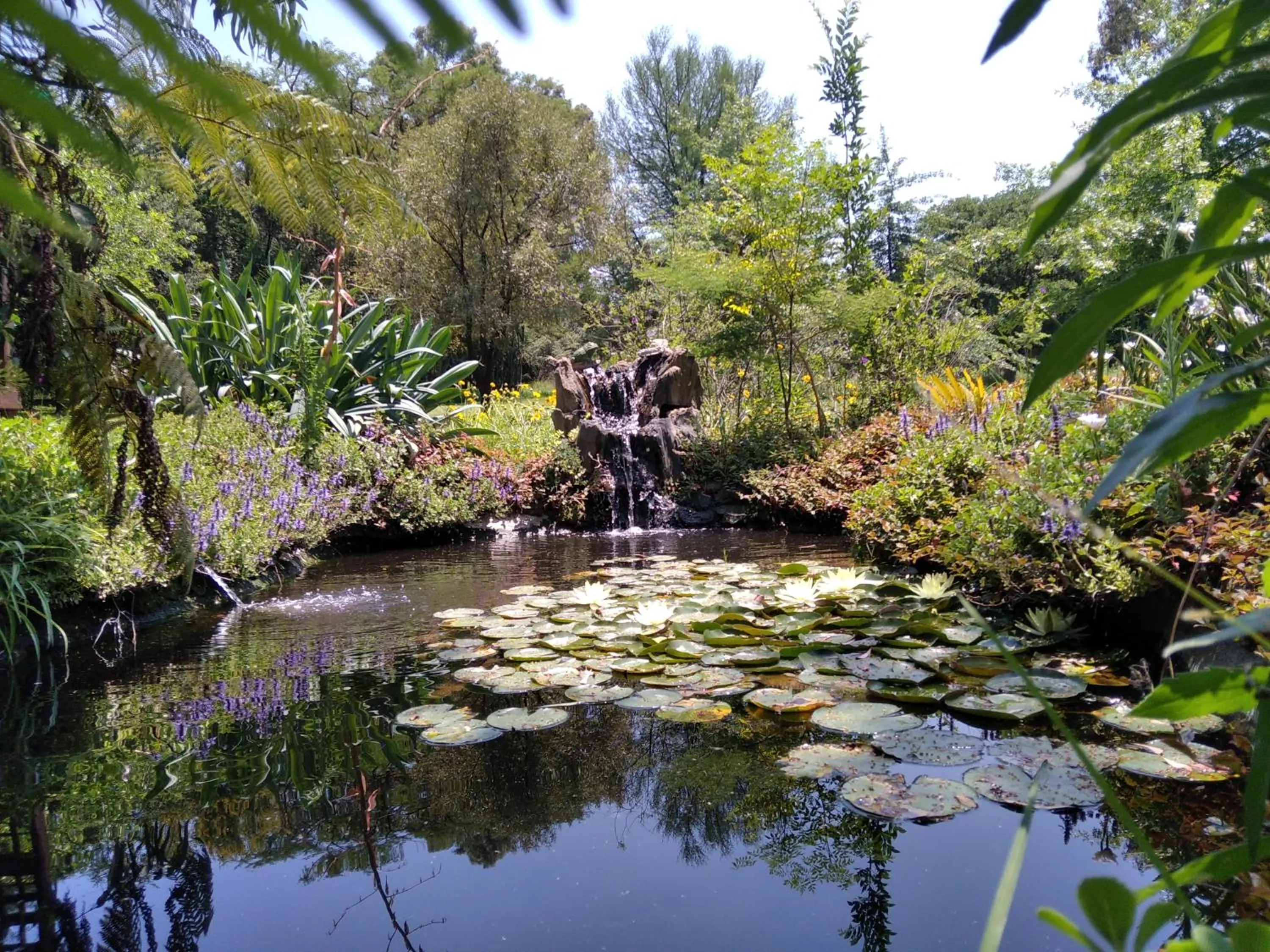 Natural landscape in Ipe Tombe Guest Lodge - Midrand
