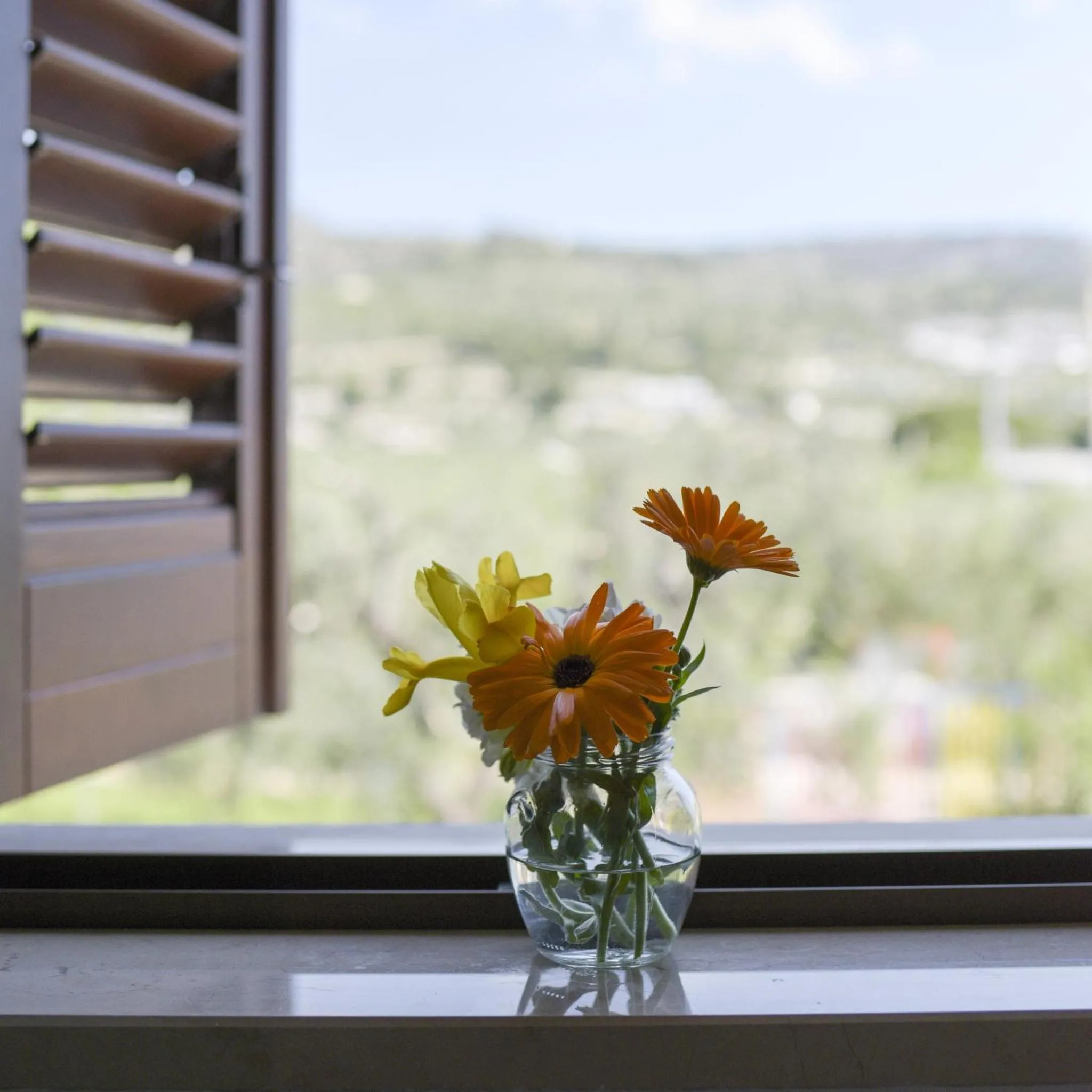 Standard Double Room in La Rotonda
