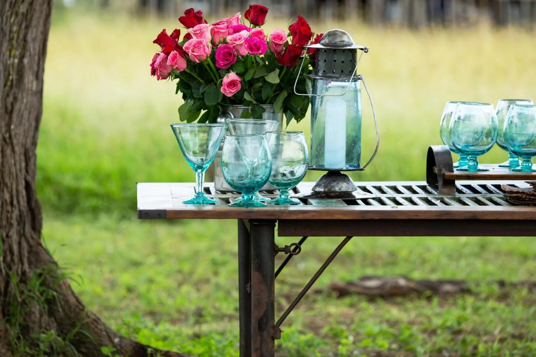 Garden in Pumzika Luxury Safari Camp