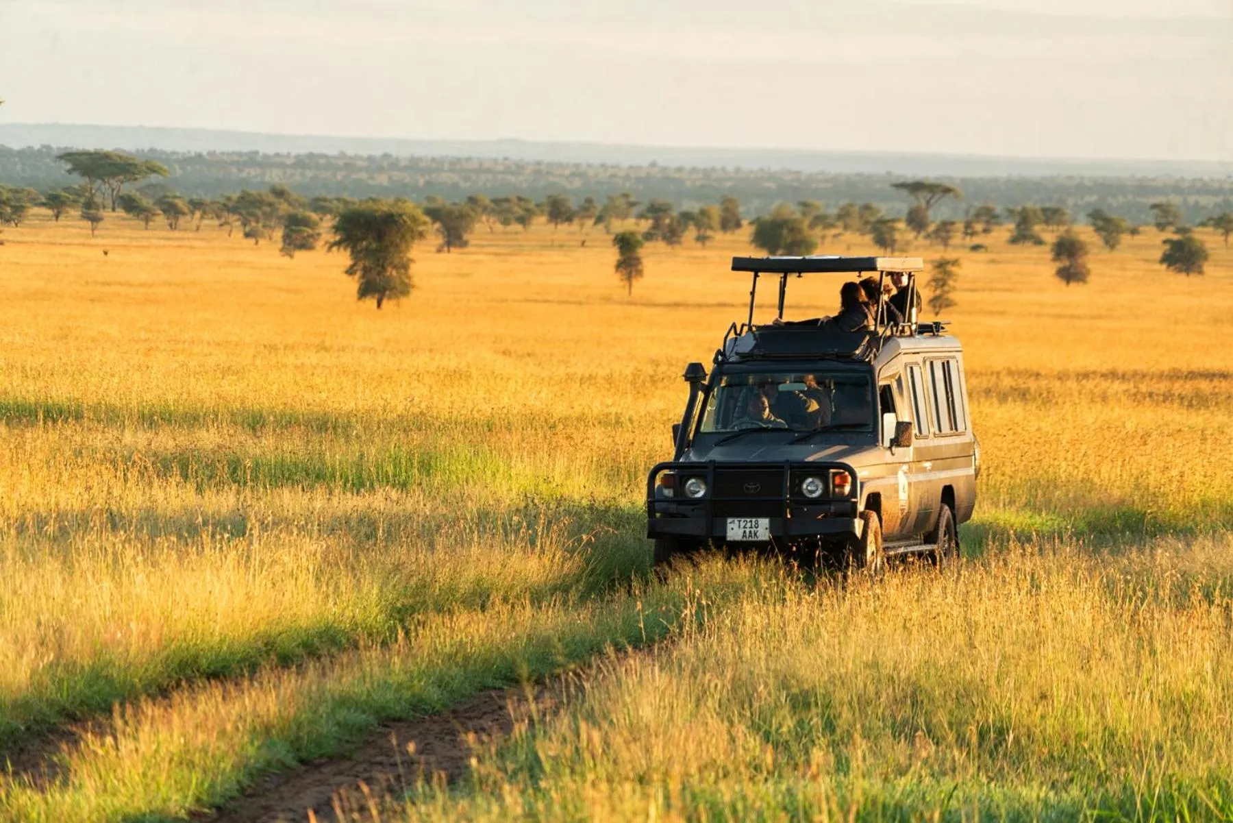 Activities in Pumzika Luxury Safari Camp