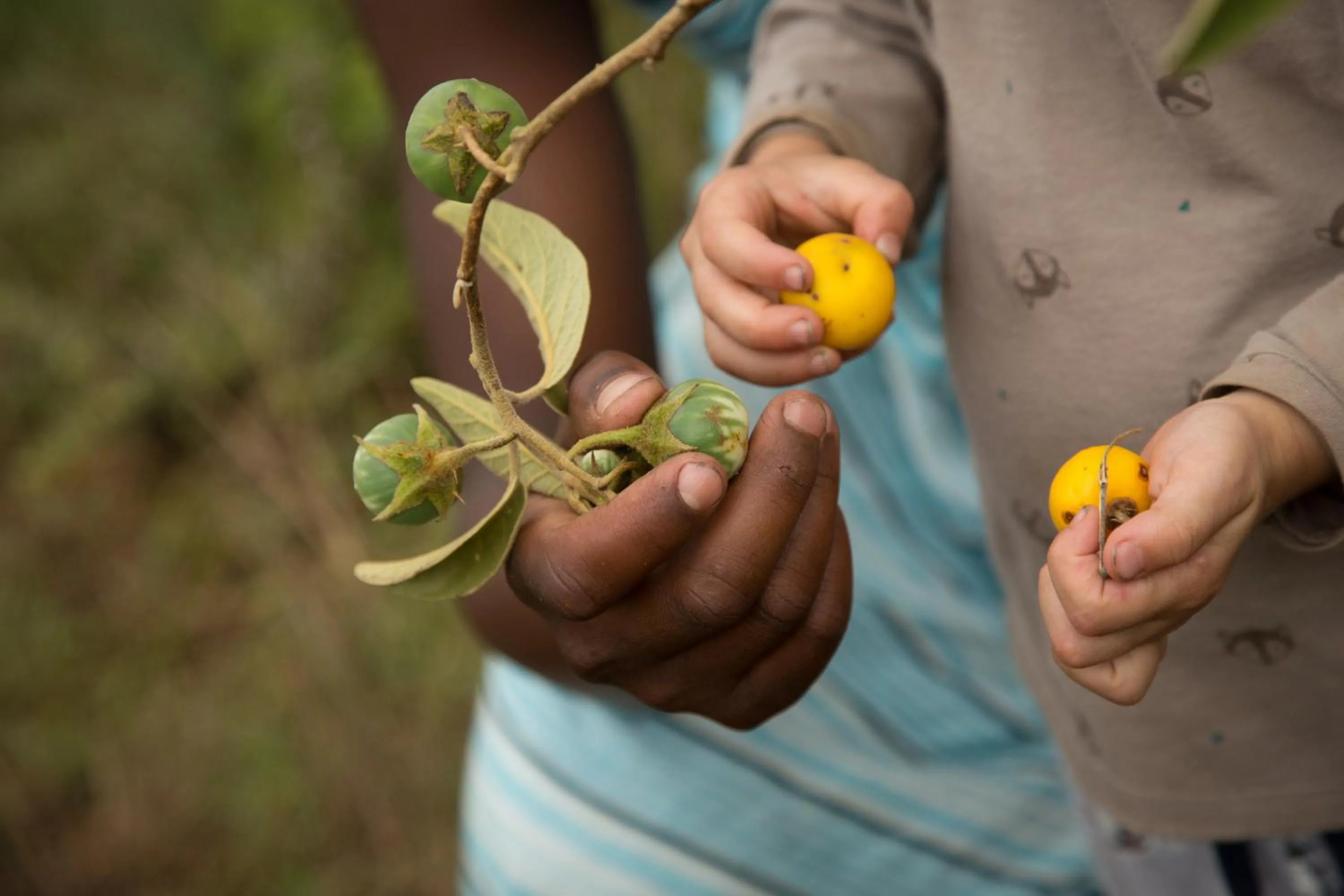 Other in Pakulala Safari Camp - Ngorongoro