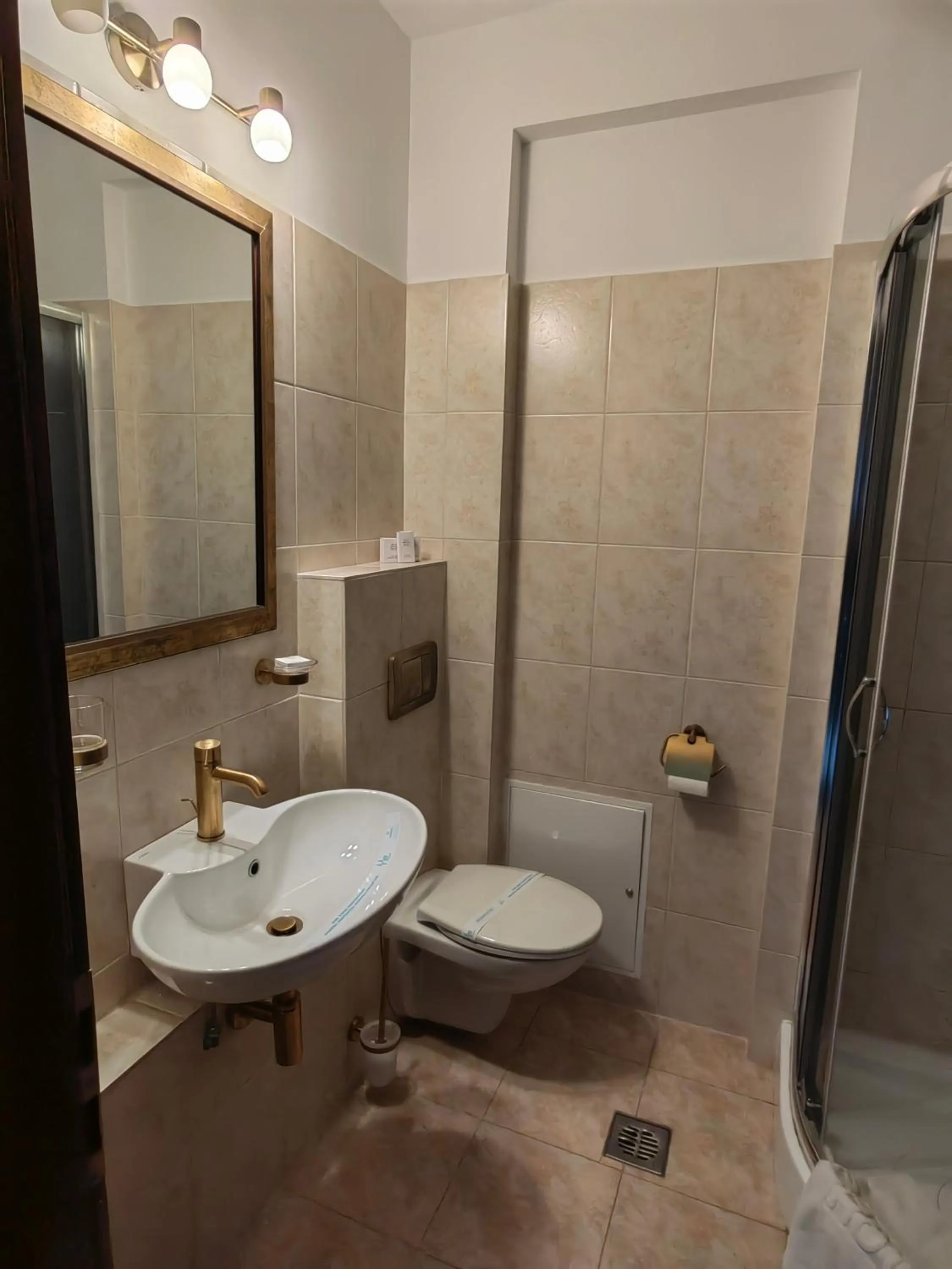 Shower in Hotel Carol