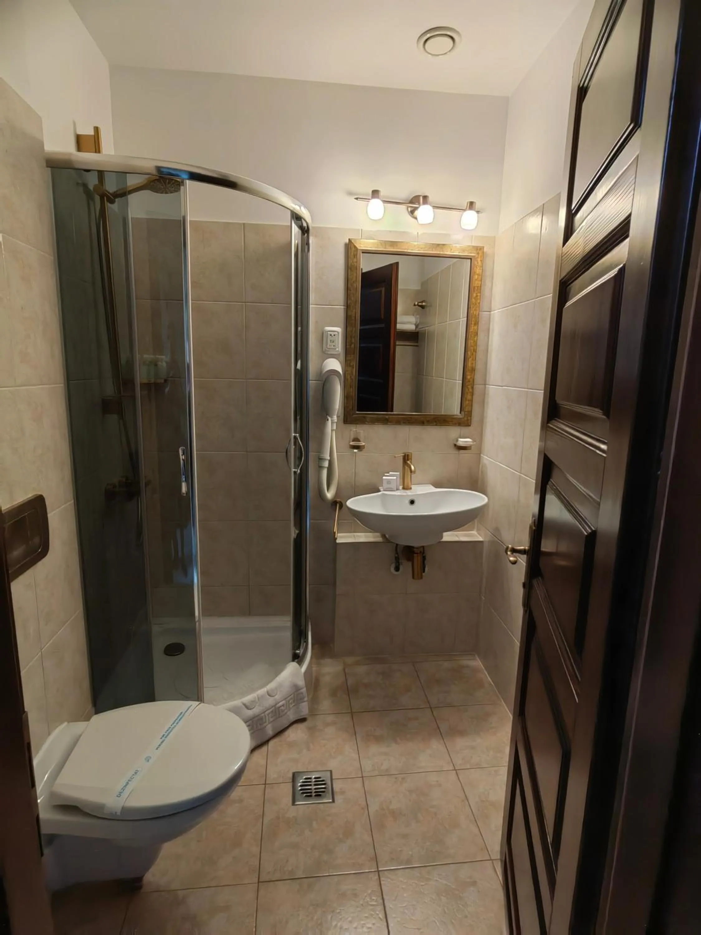 Shower in Hotel Carol