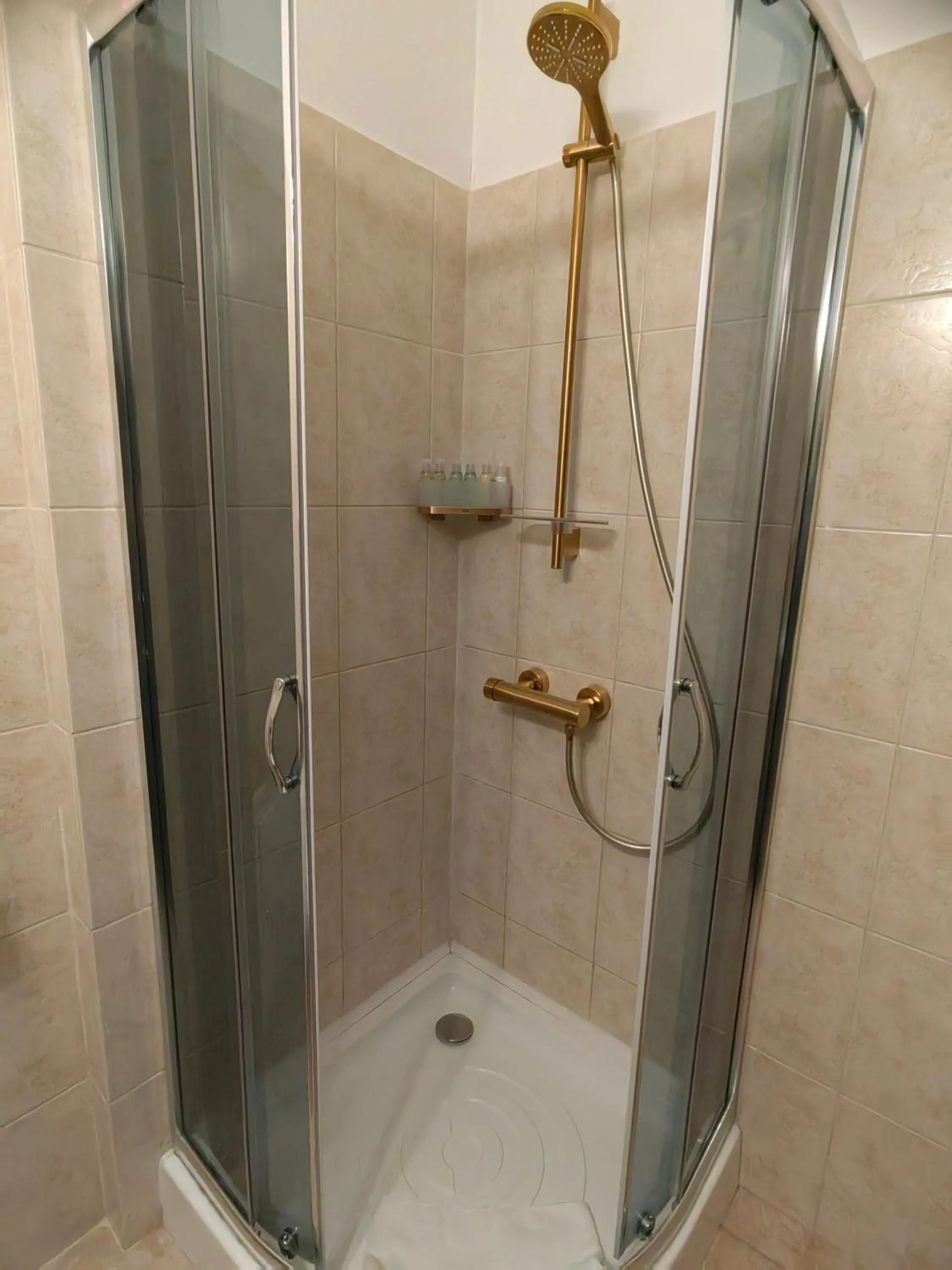 Shower in Hotel Carol