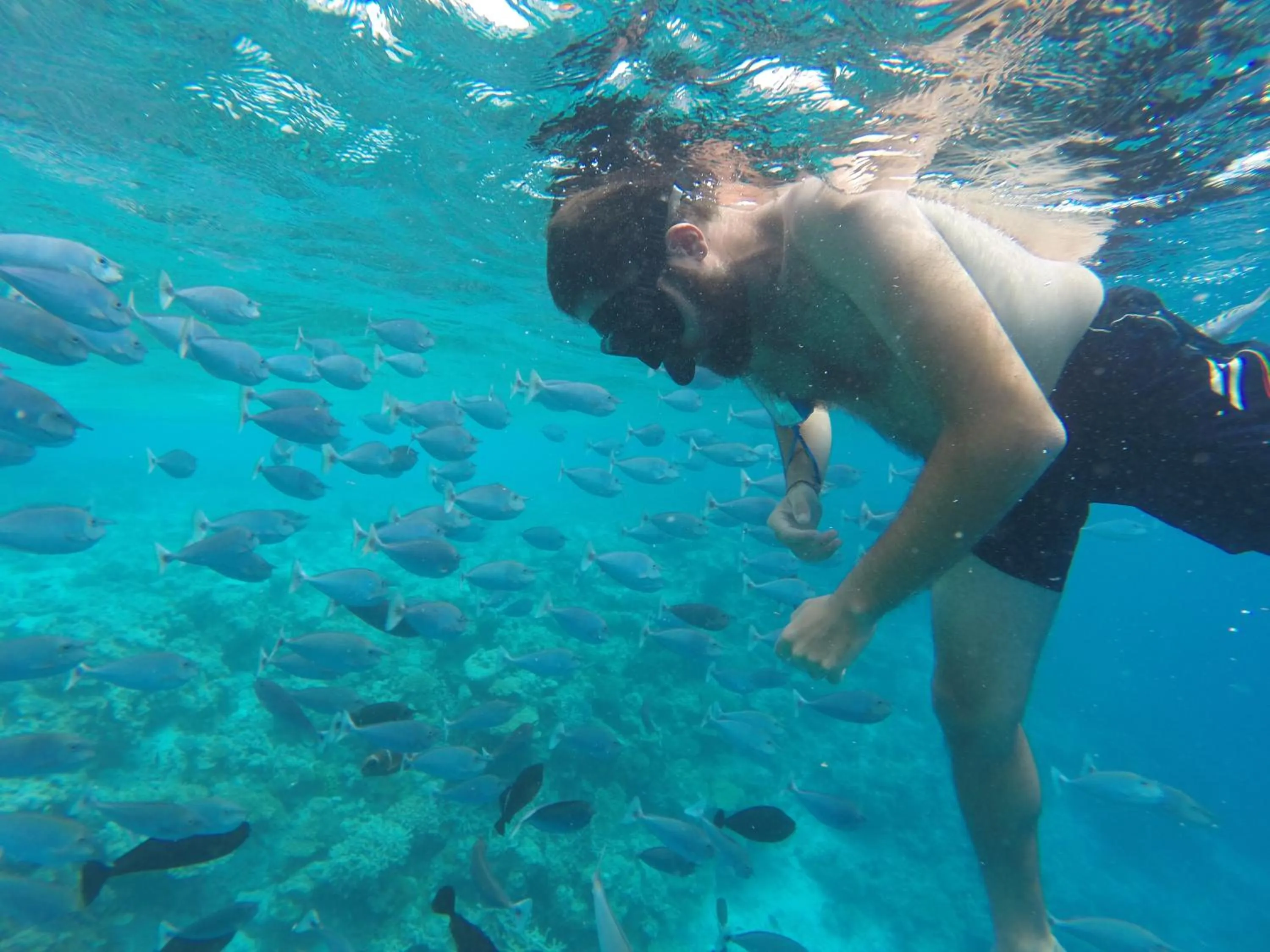Snorkeling in Salt Beach Hotel