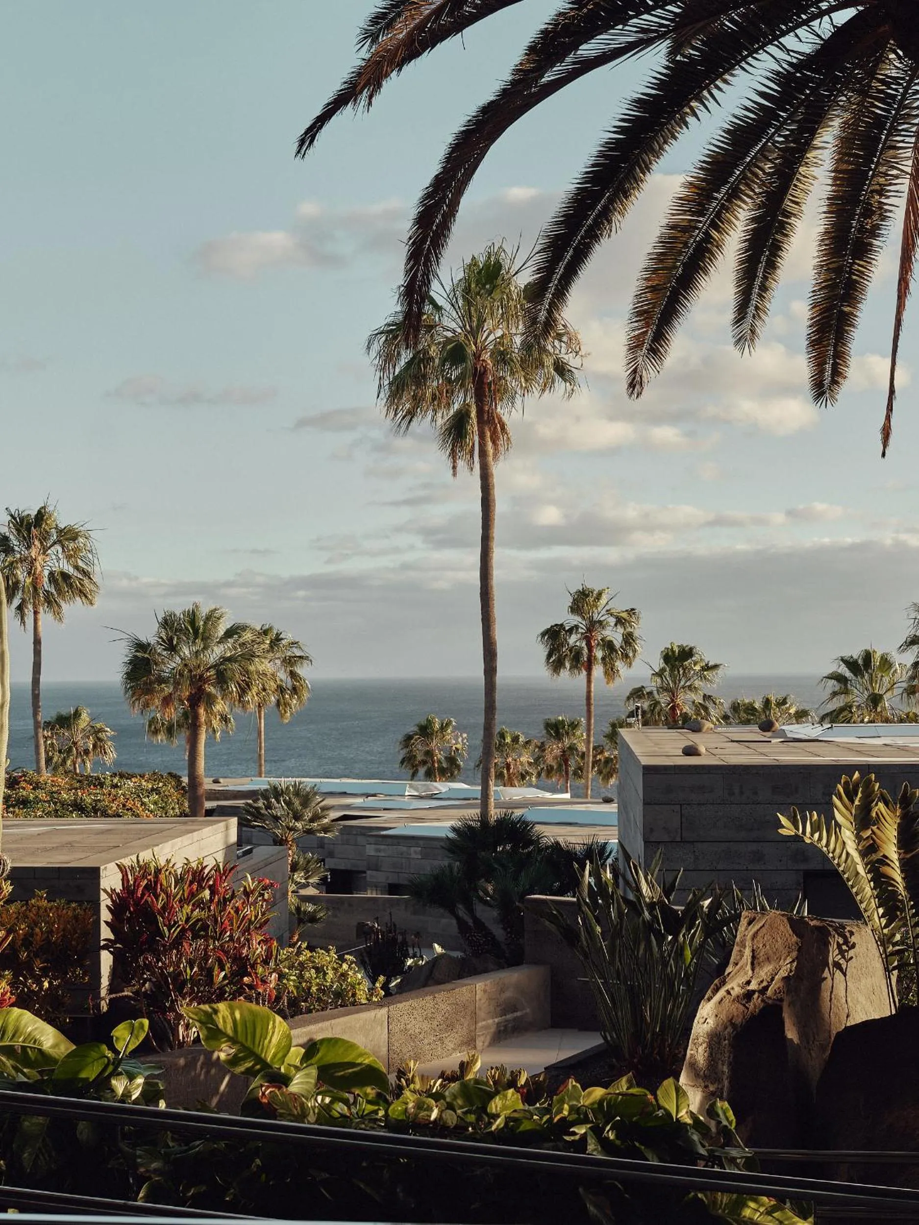 Garden in La Isla y el Mar, Hotel Boutique