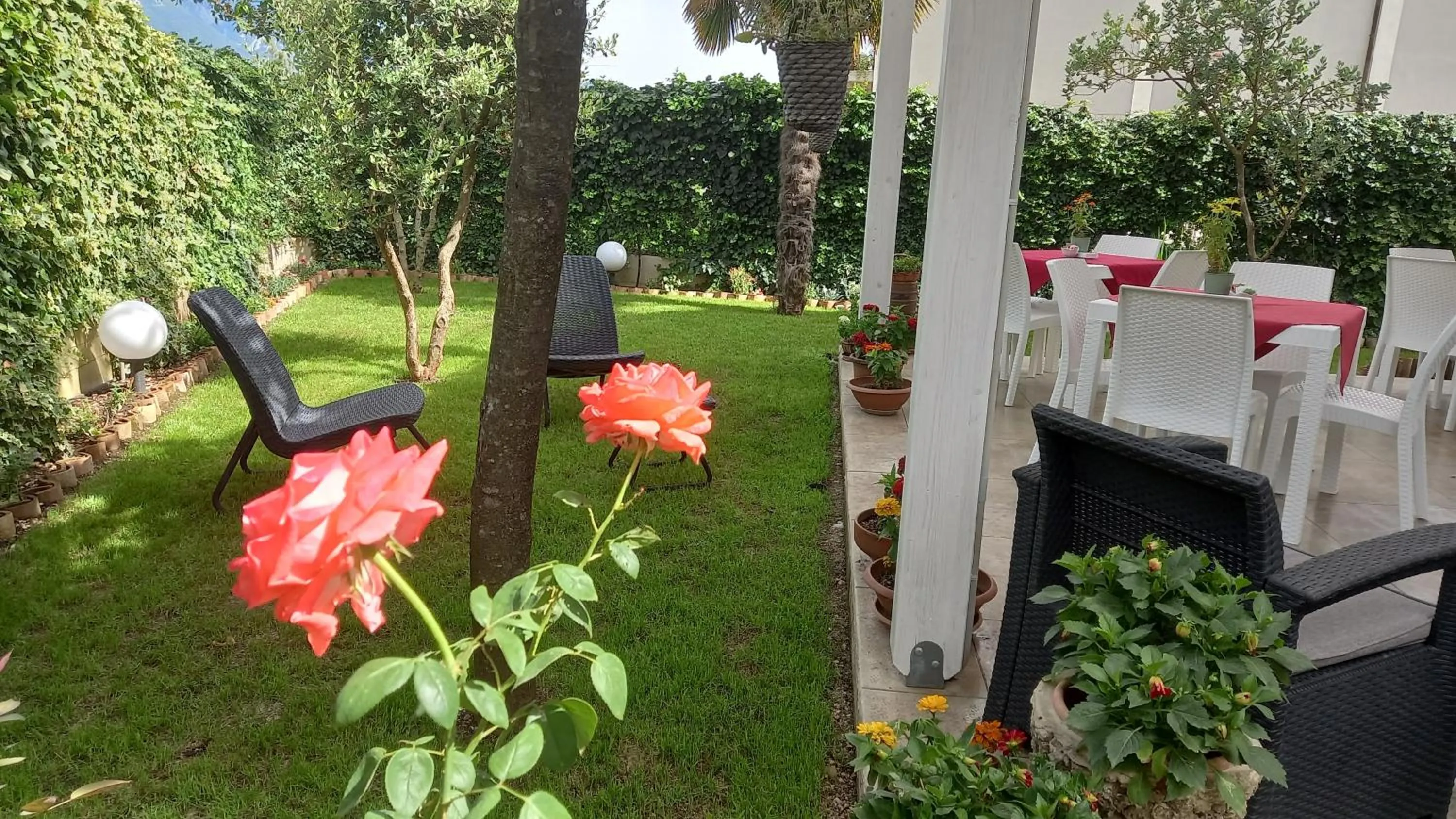 Garden in B&B TENUTA BIANCA