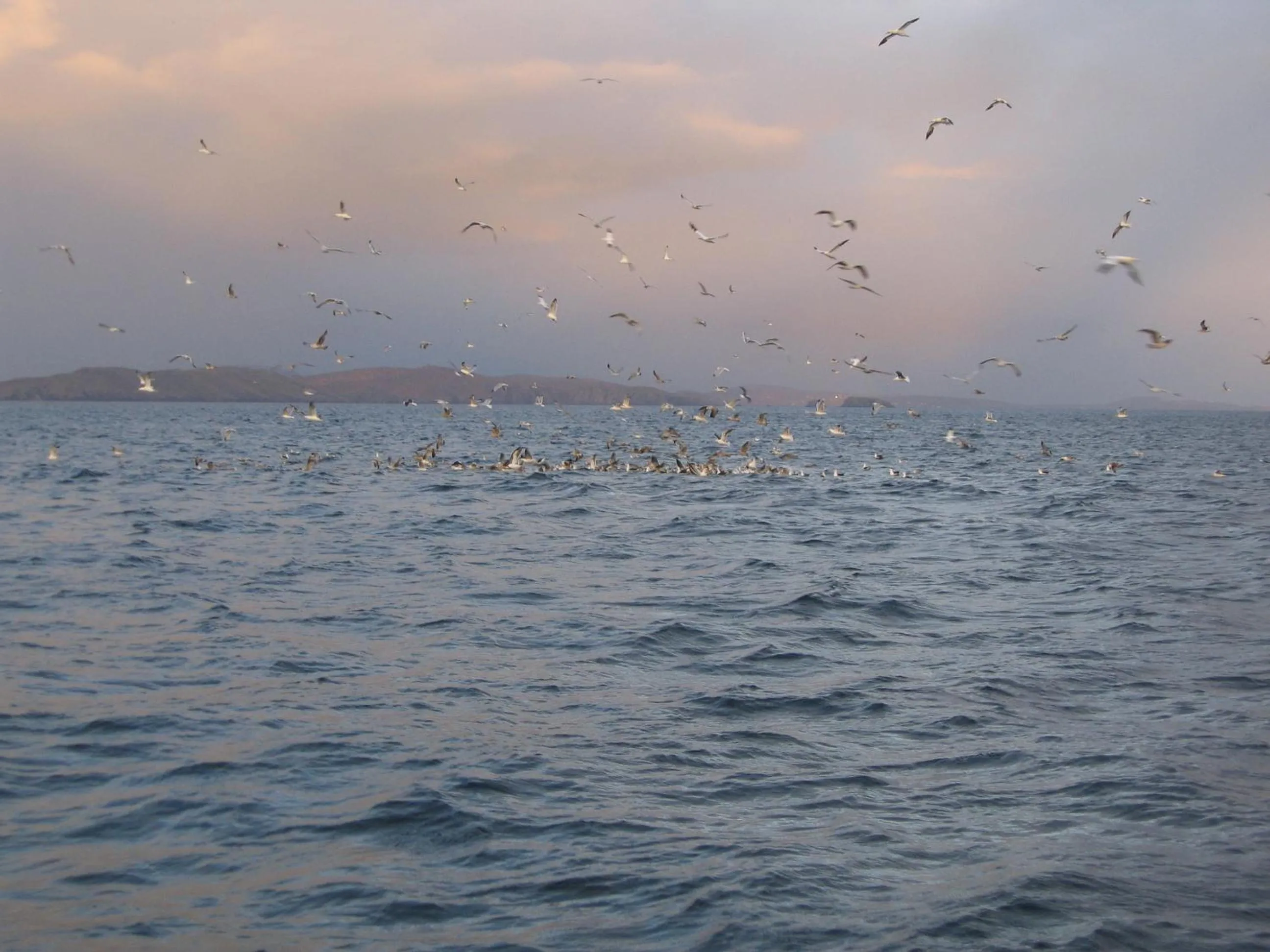 Natural landscape in The Stone House B&B