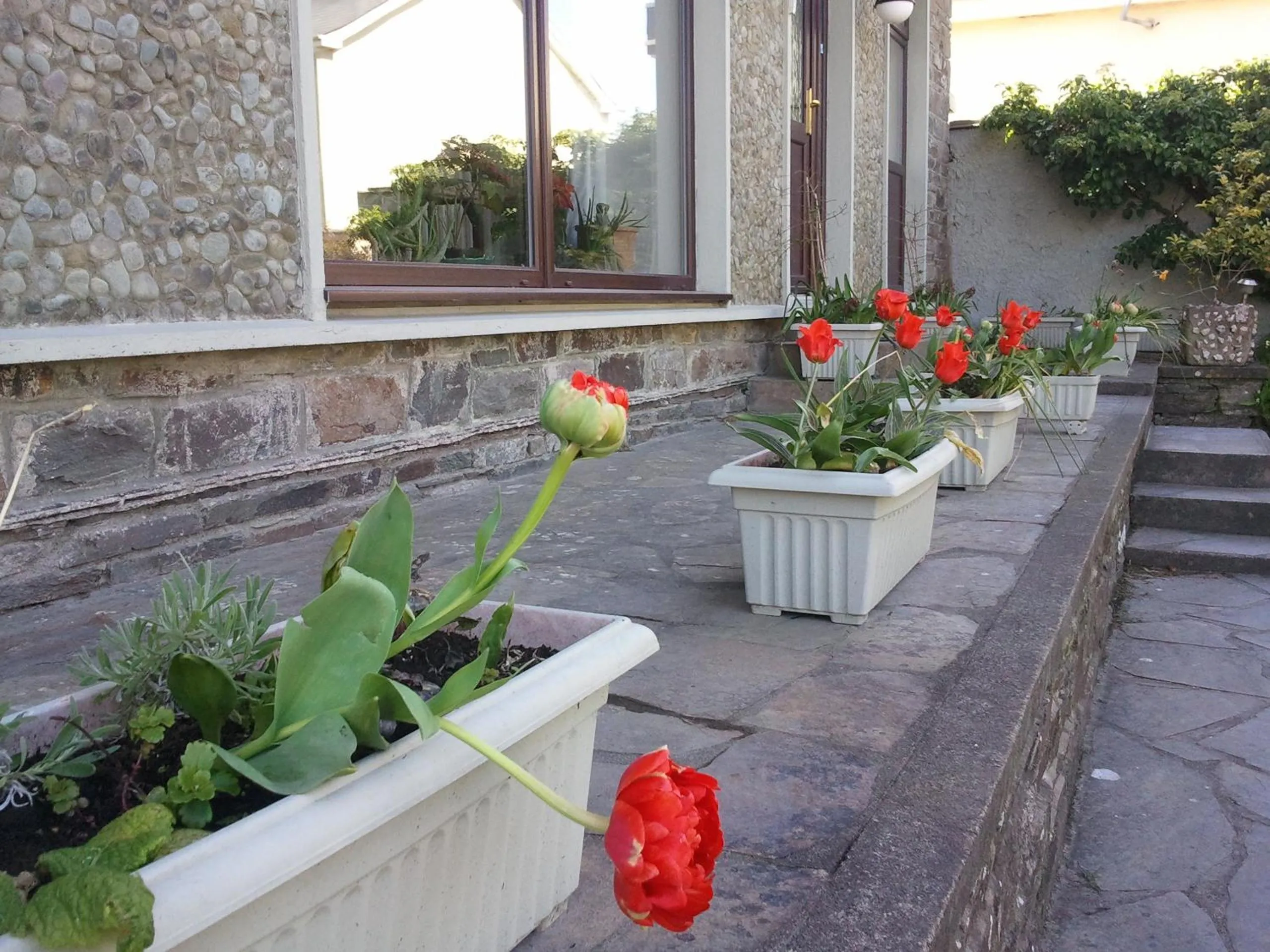 Facade/entrance in The Stone House B&B