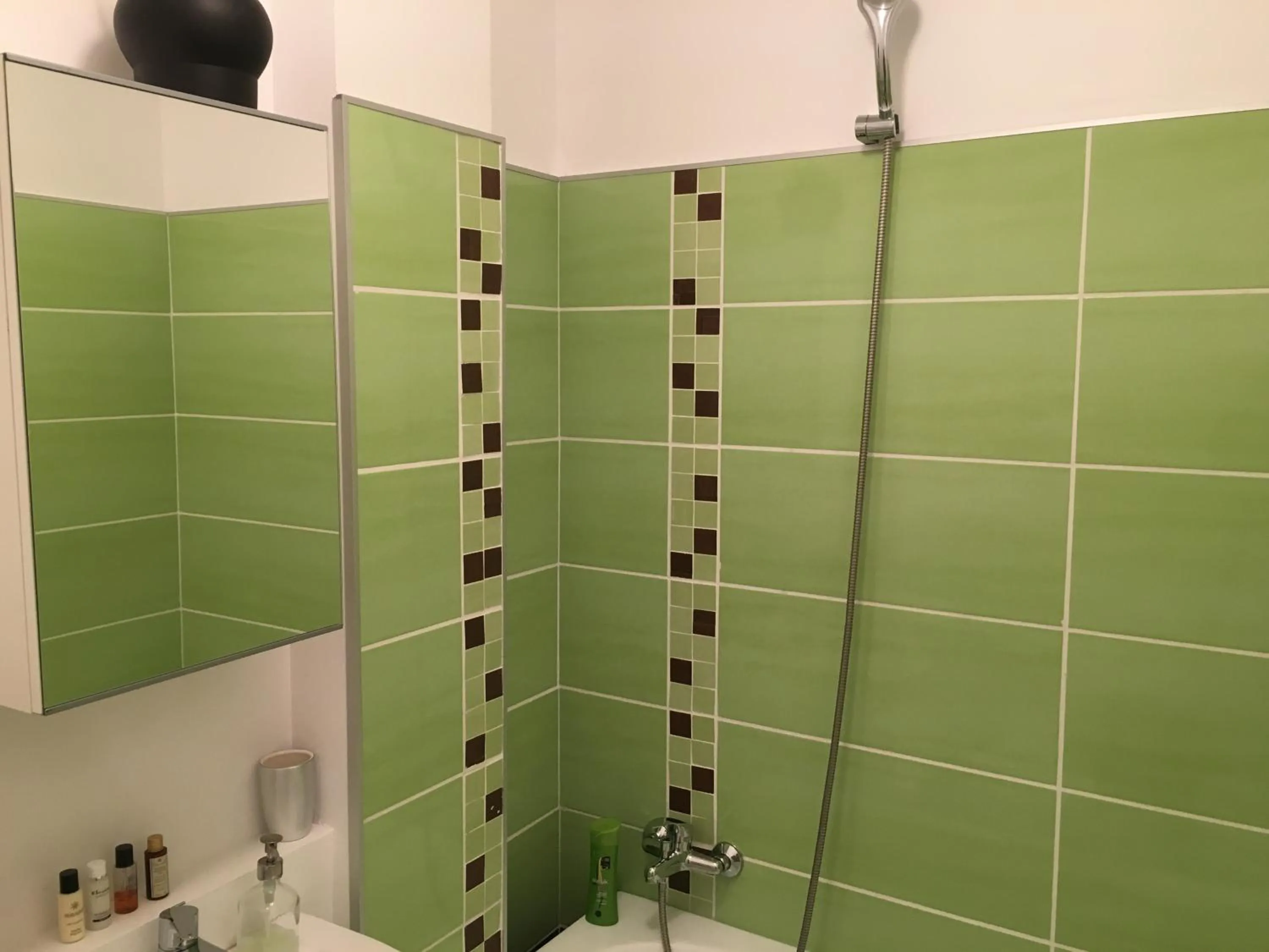 Bathroom in New Central Roof top view