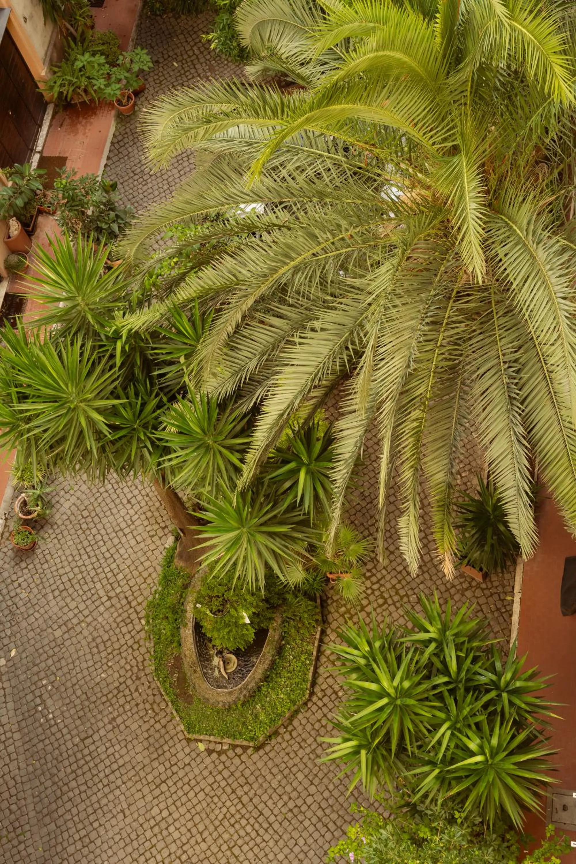 Garden view in La Casa Di Amy