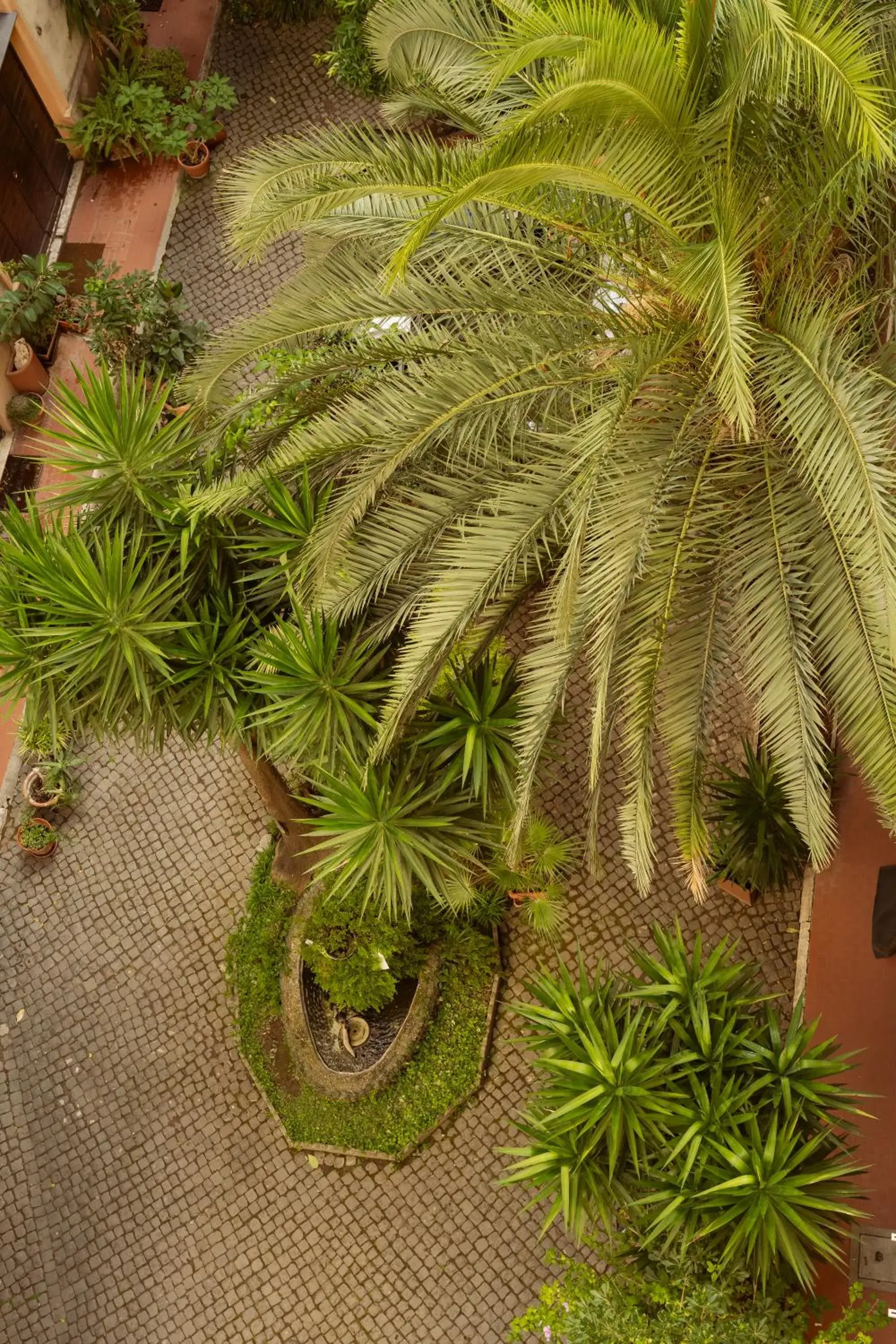 Garden view in La Casa Di Amy Garden view in La Casa Di Amy