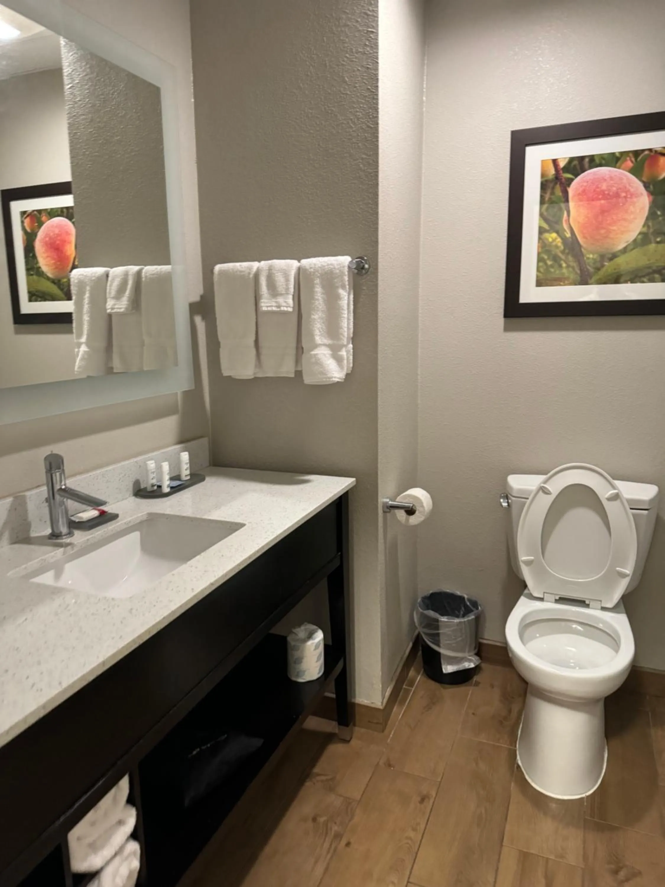 Bathroom in La Quinta by Wyndham Milledgeville