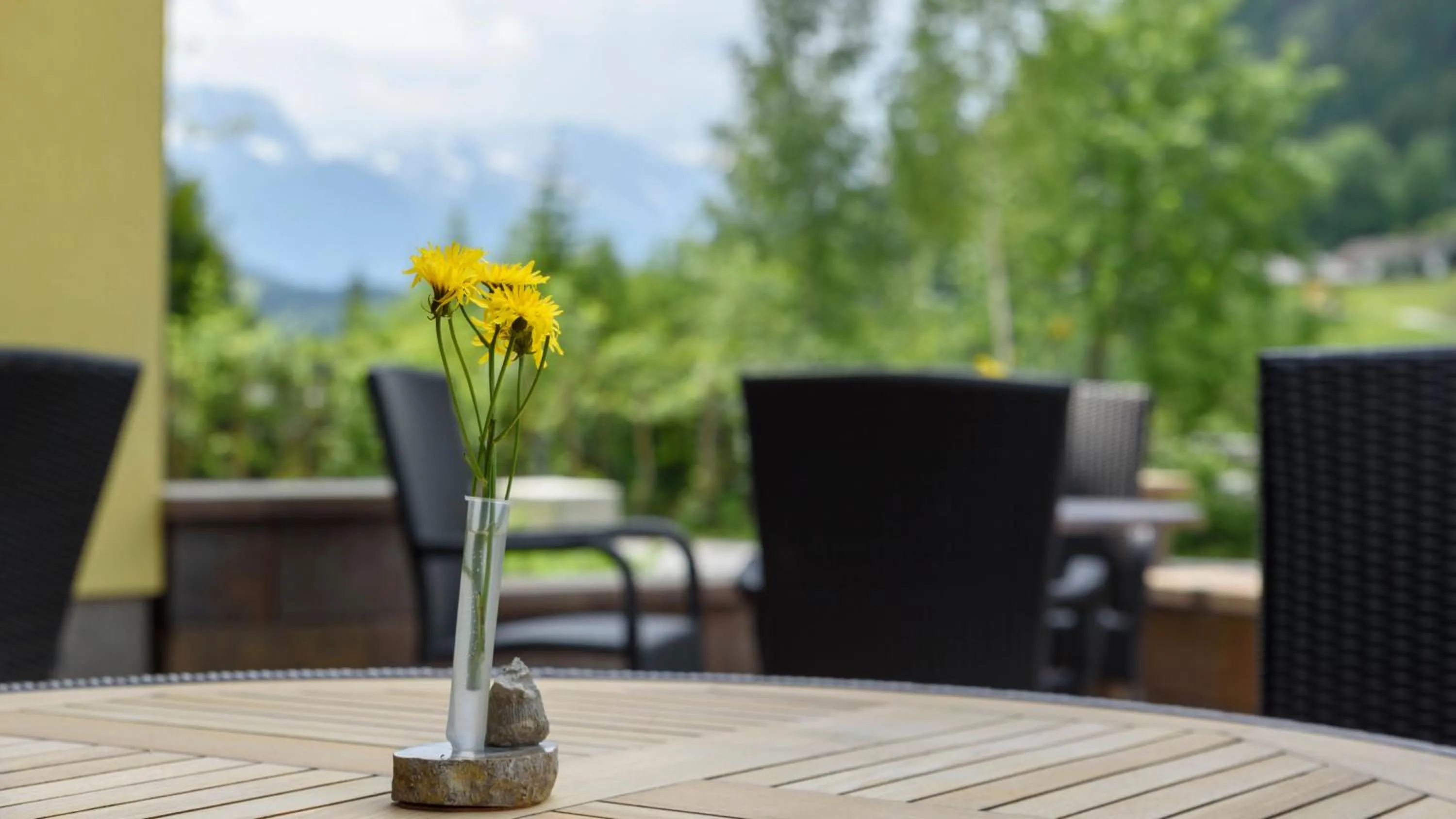 Patio in Hotel Landhaus Ausswinkl