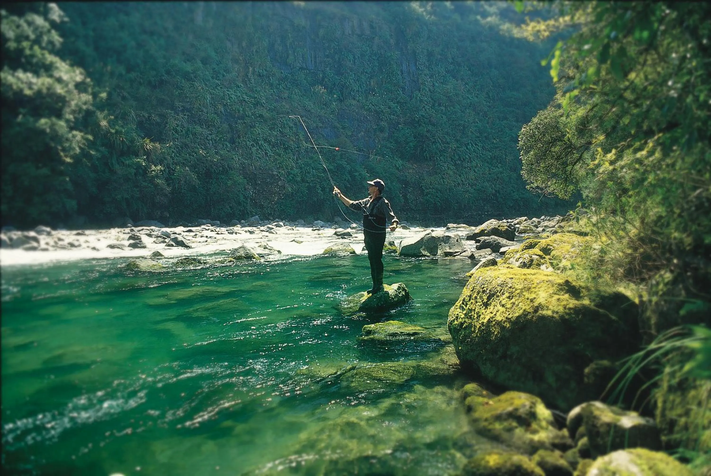 Activities in Treetops Lodge & Estate