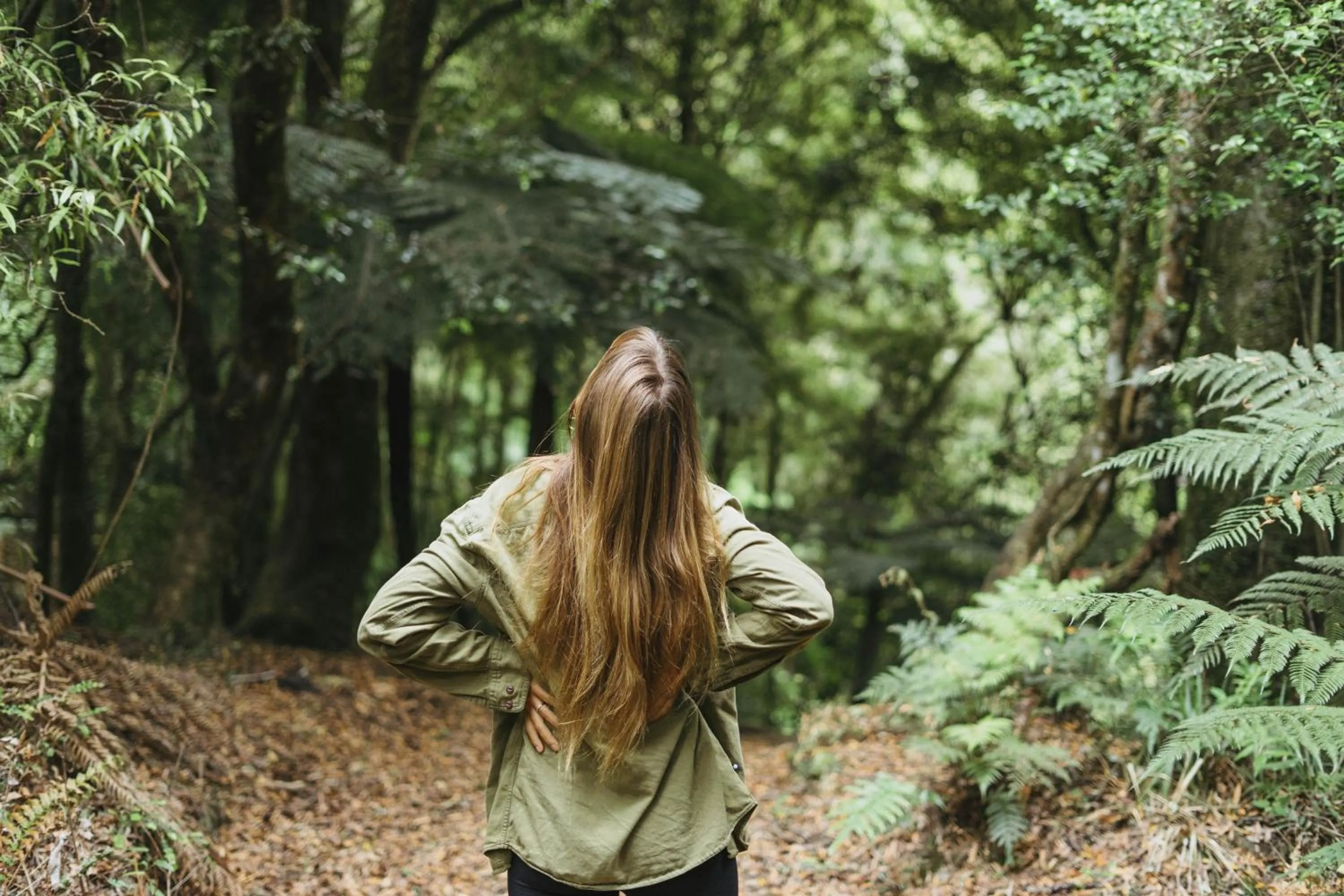 Natural landscape in Treetops Lodge & Estate