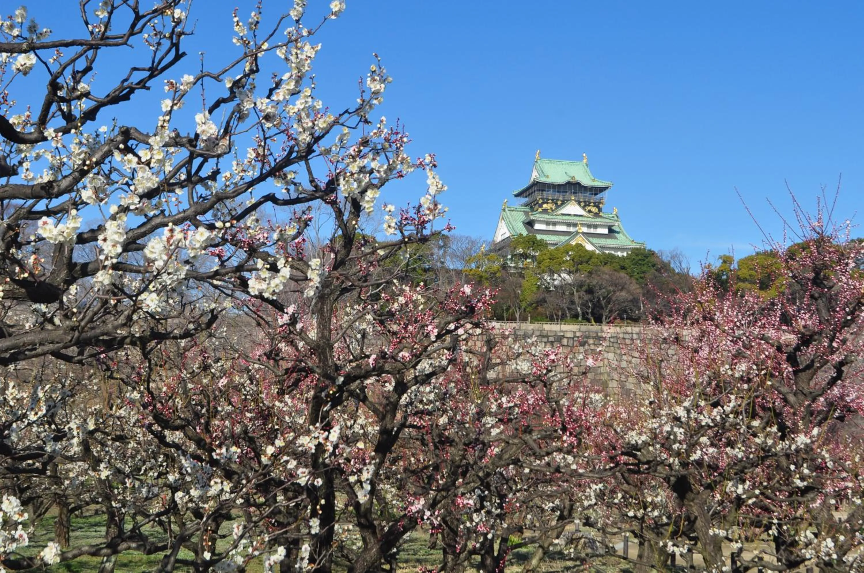 Nearby landmark in Hotel New Otani Osaka