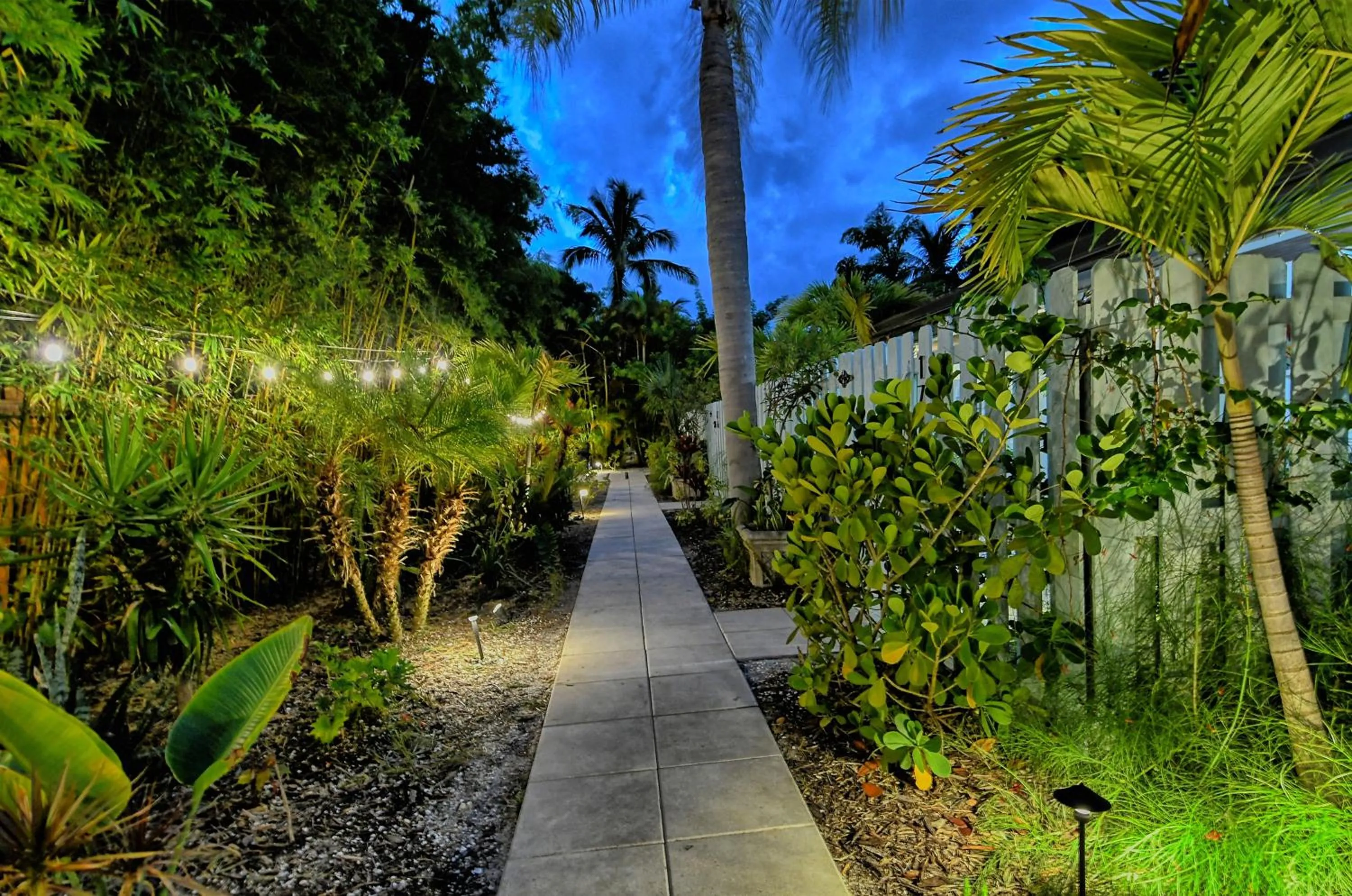 Natural landscape in Siesta Key Palms Resort