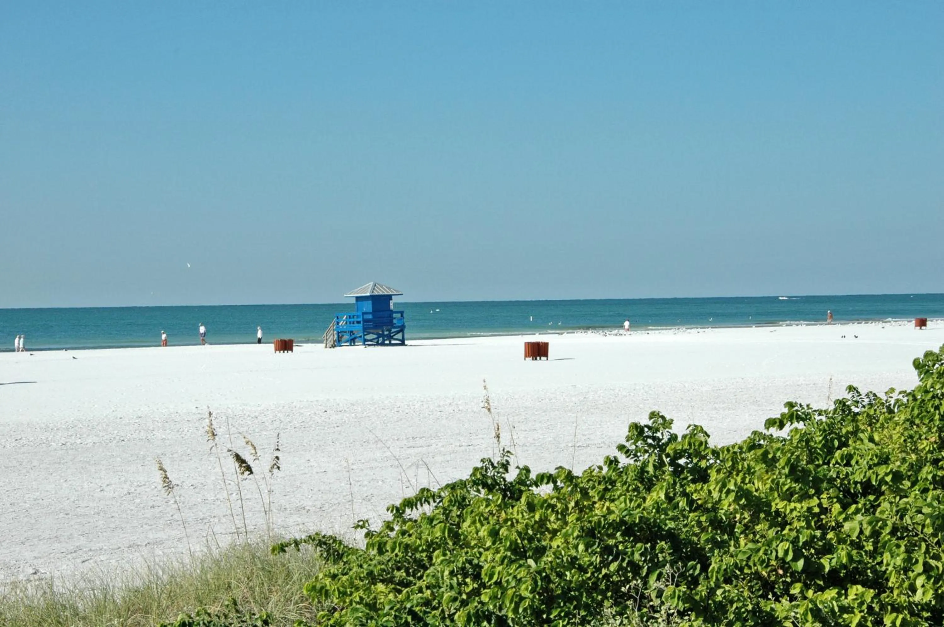 Beach in Siesta Key Palms Resort