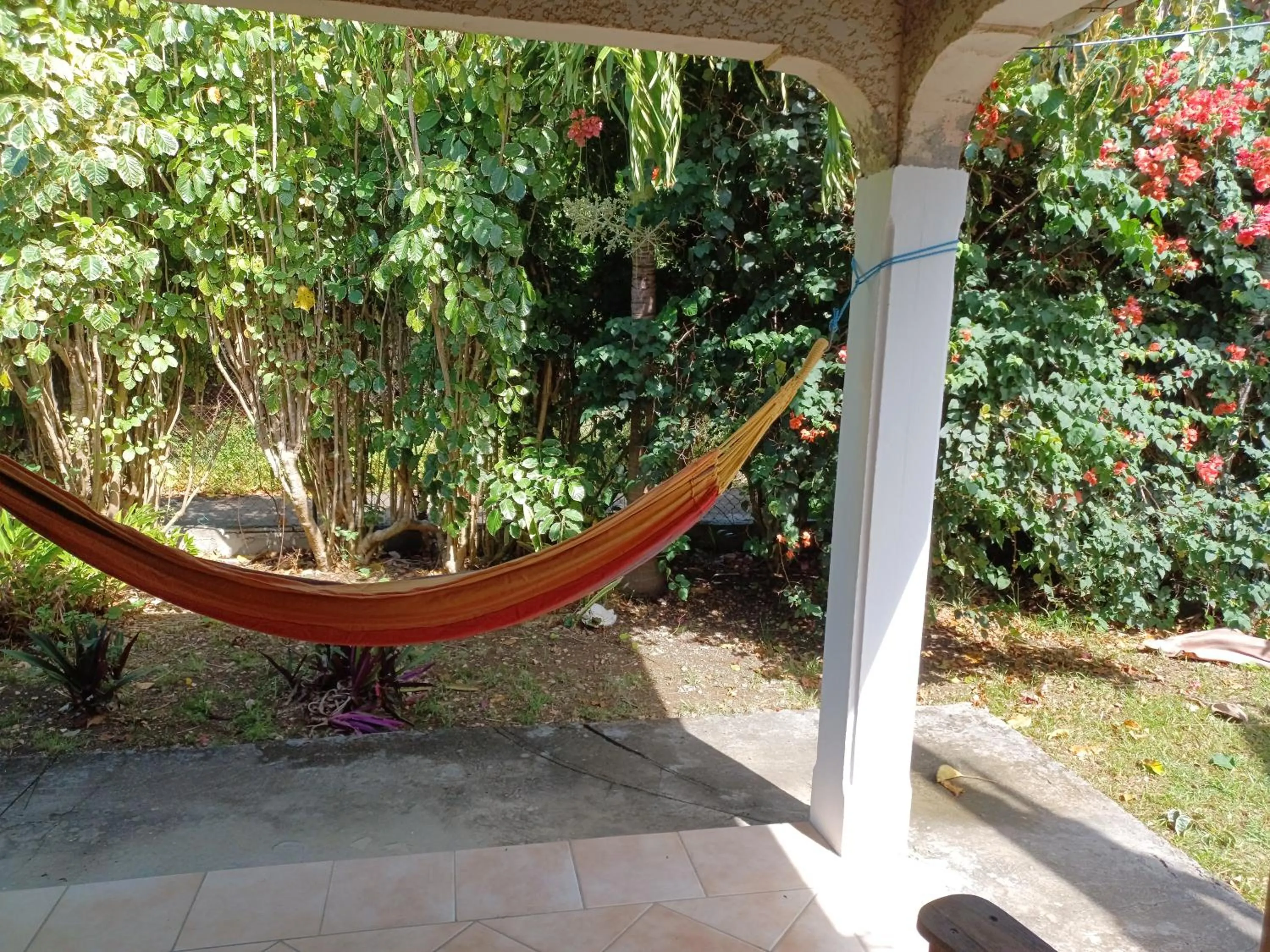 Garden in Ti-Soleil