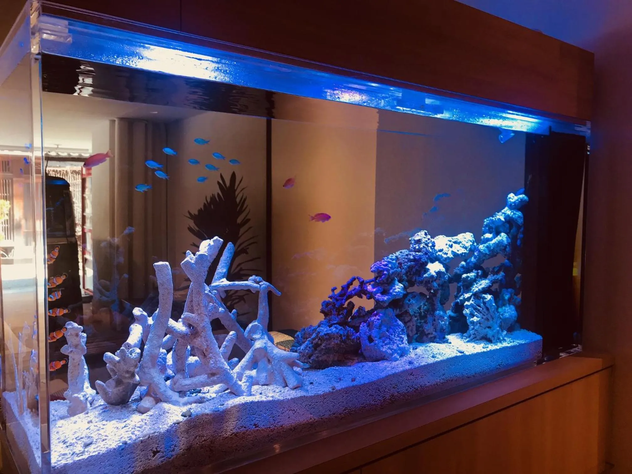 Lobby or reception in Kanazawa Station Hotel