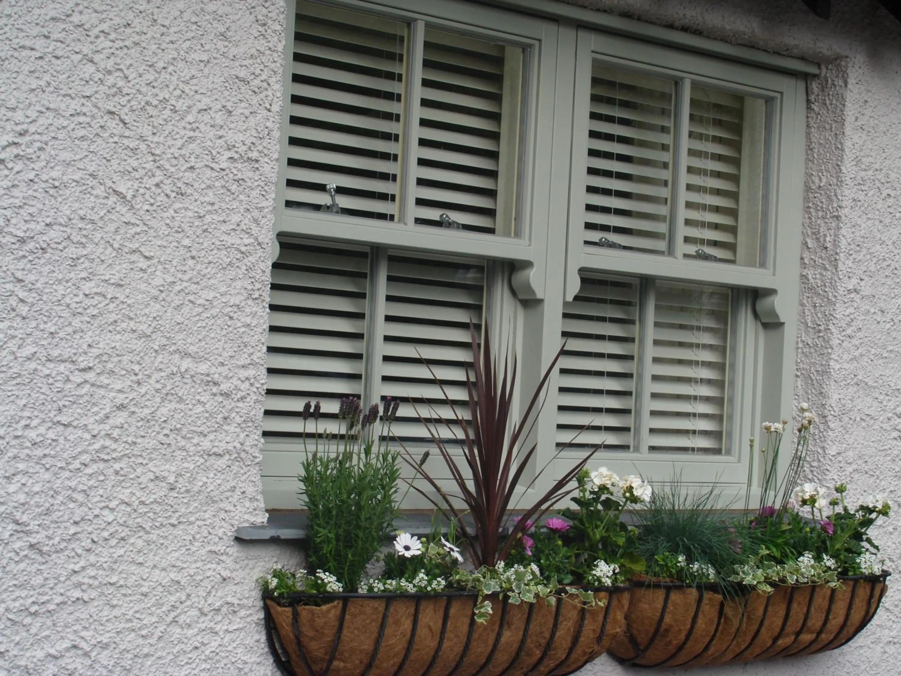 Day in The Westbourne