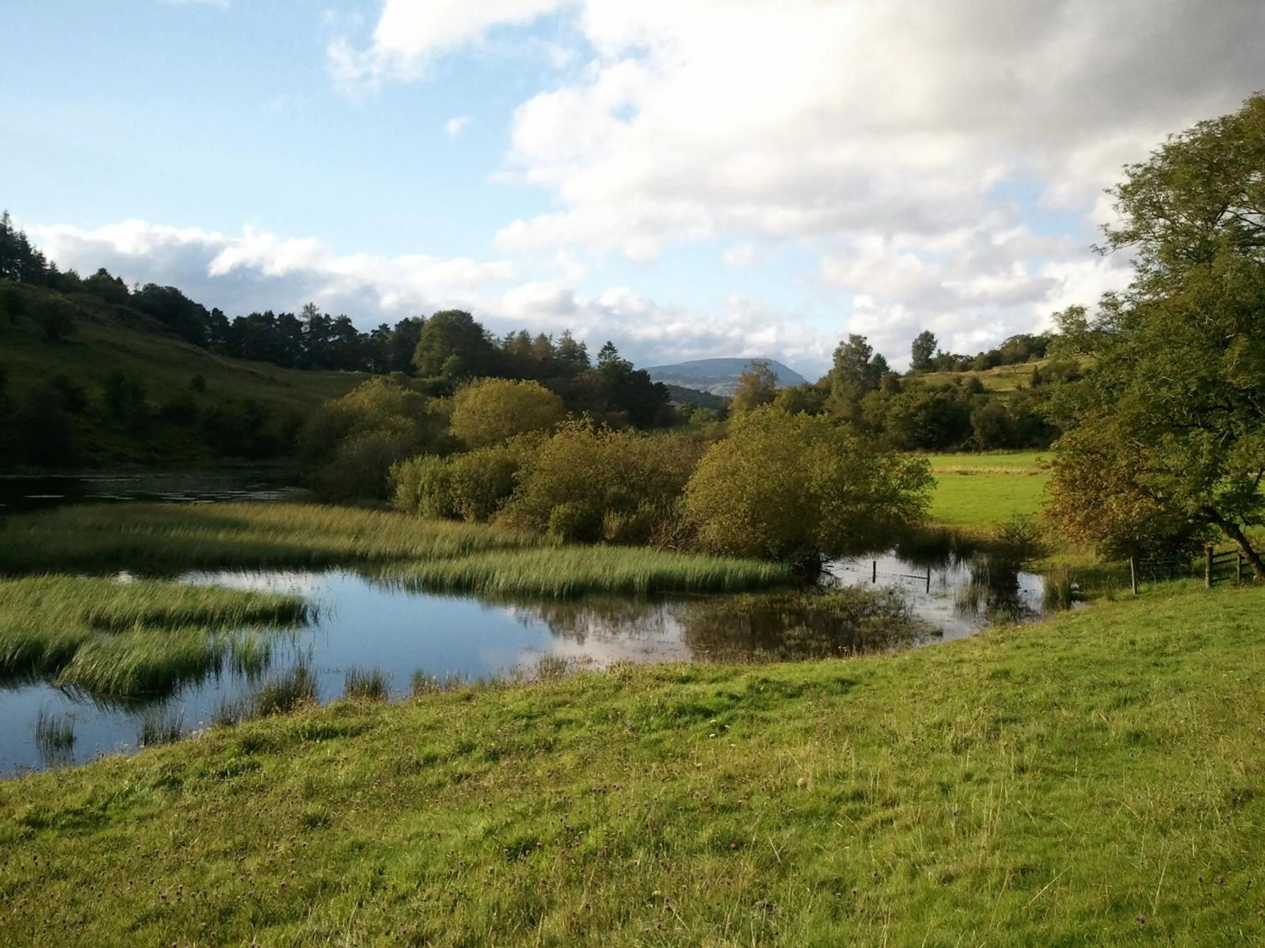 Day in The Westbourne