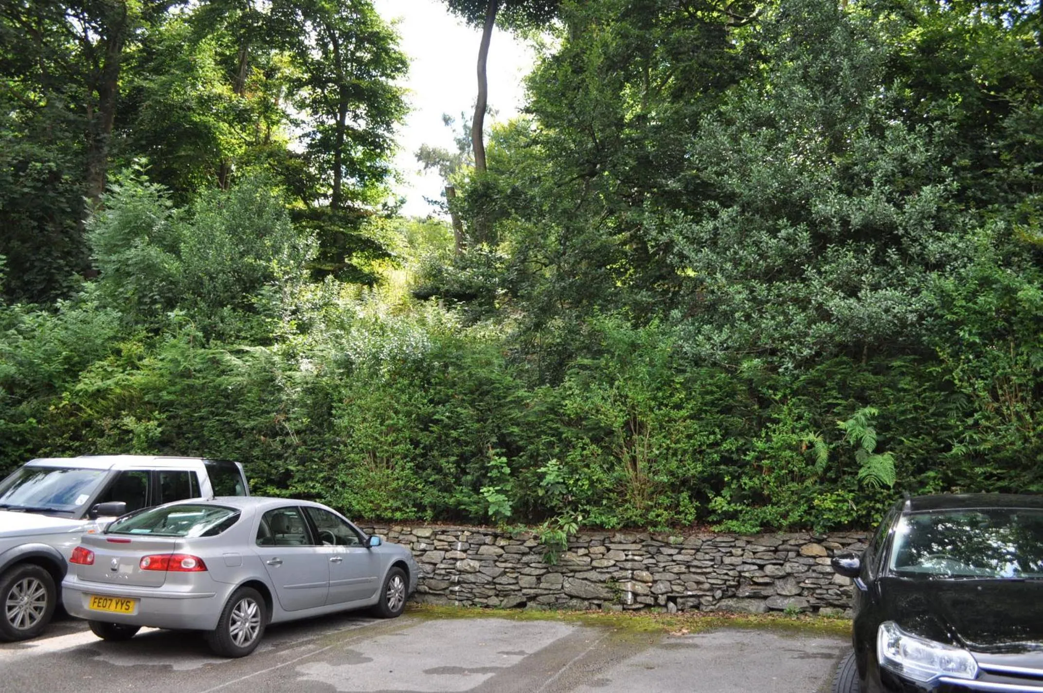 Day in The Westbourne