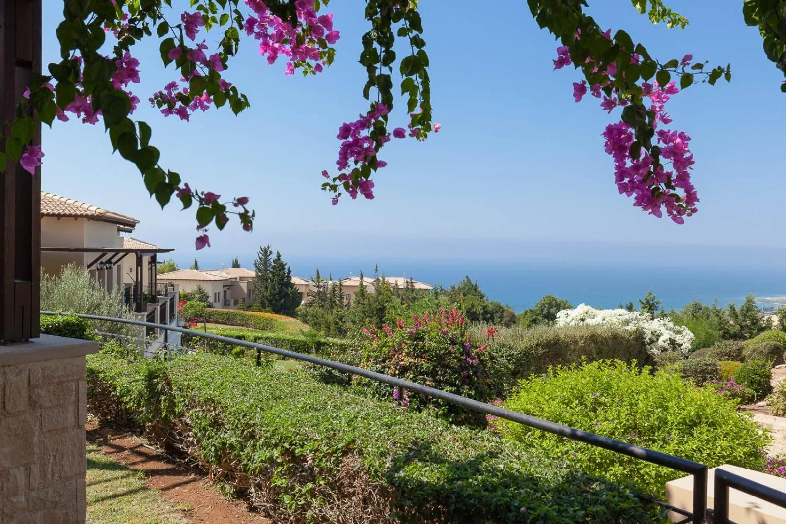 Garden in Aphrodite Hills Rentals - Apartments