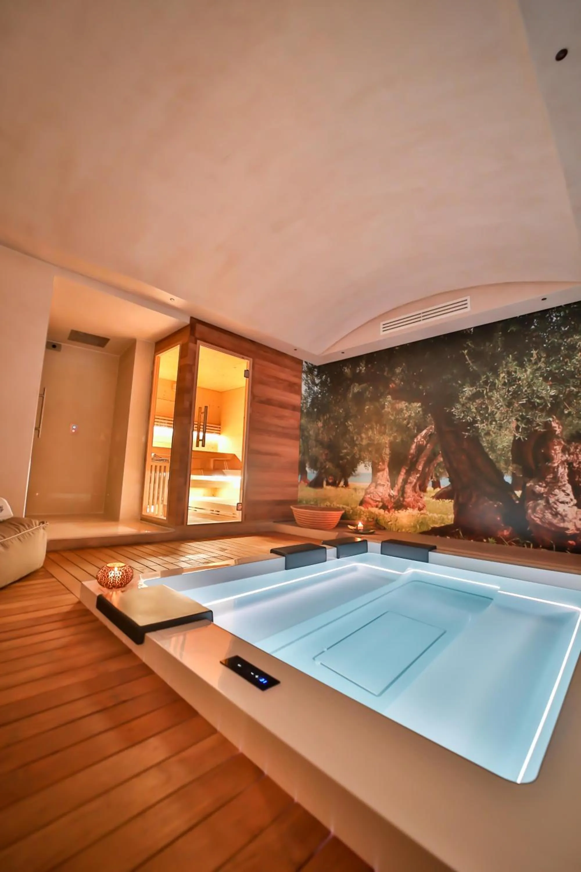 Spa and wellness centre/facilities in Borgo de li Santi