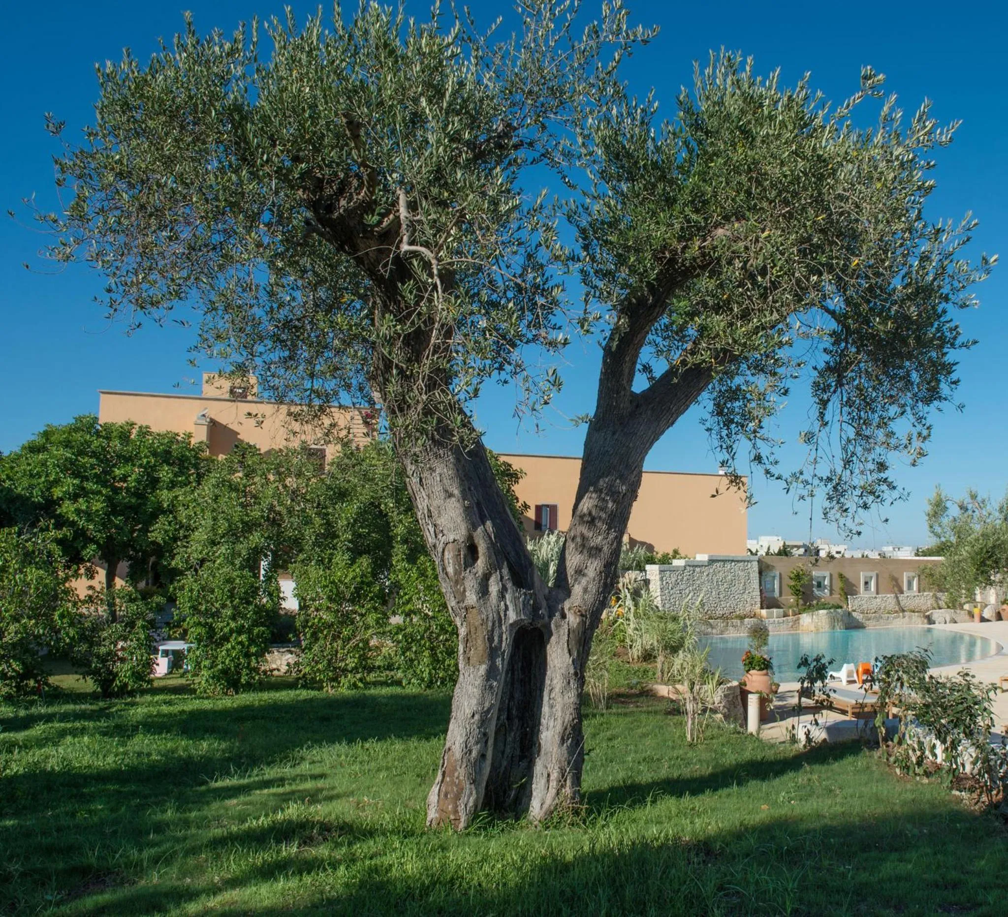 Garden in Borgo de li Santi