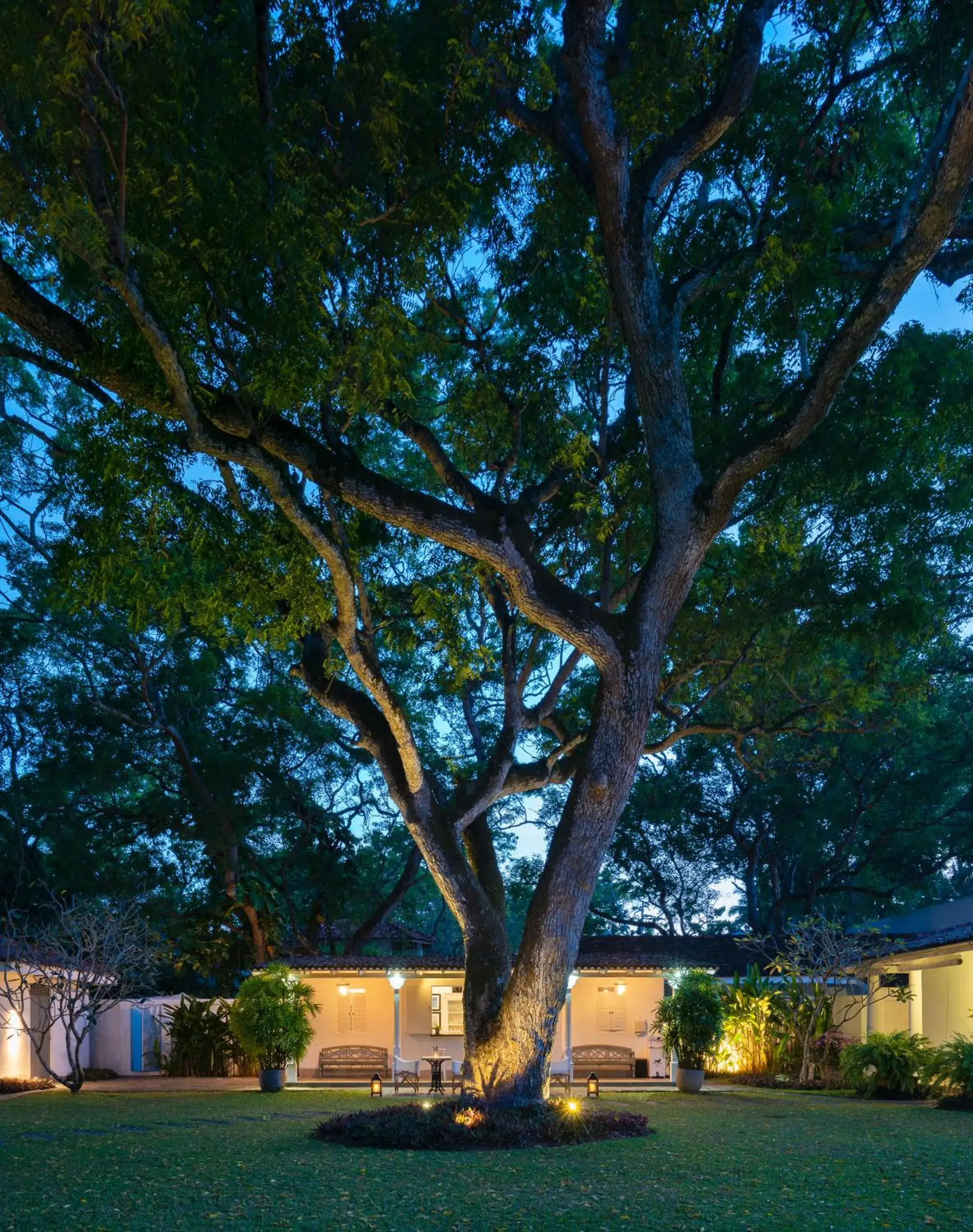 Property building in Taru Villas Mawella - Tangalle Property building in Taru Villas Mawella - Tangalle