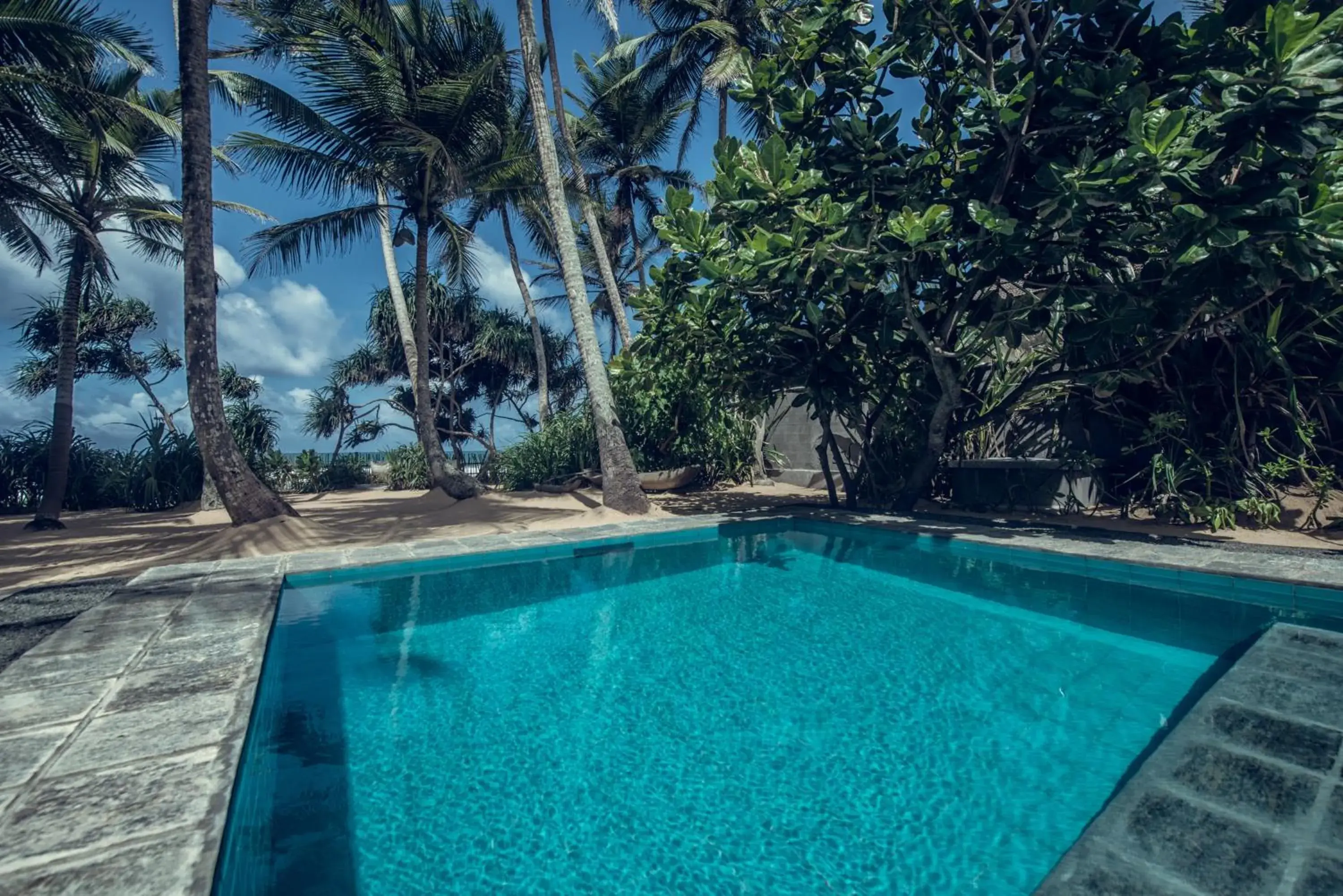 Natural landscape in Taru Villas 906 - Hikkaduwa Natural landscape in Taru Villas 906 - Hikkaduwa